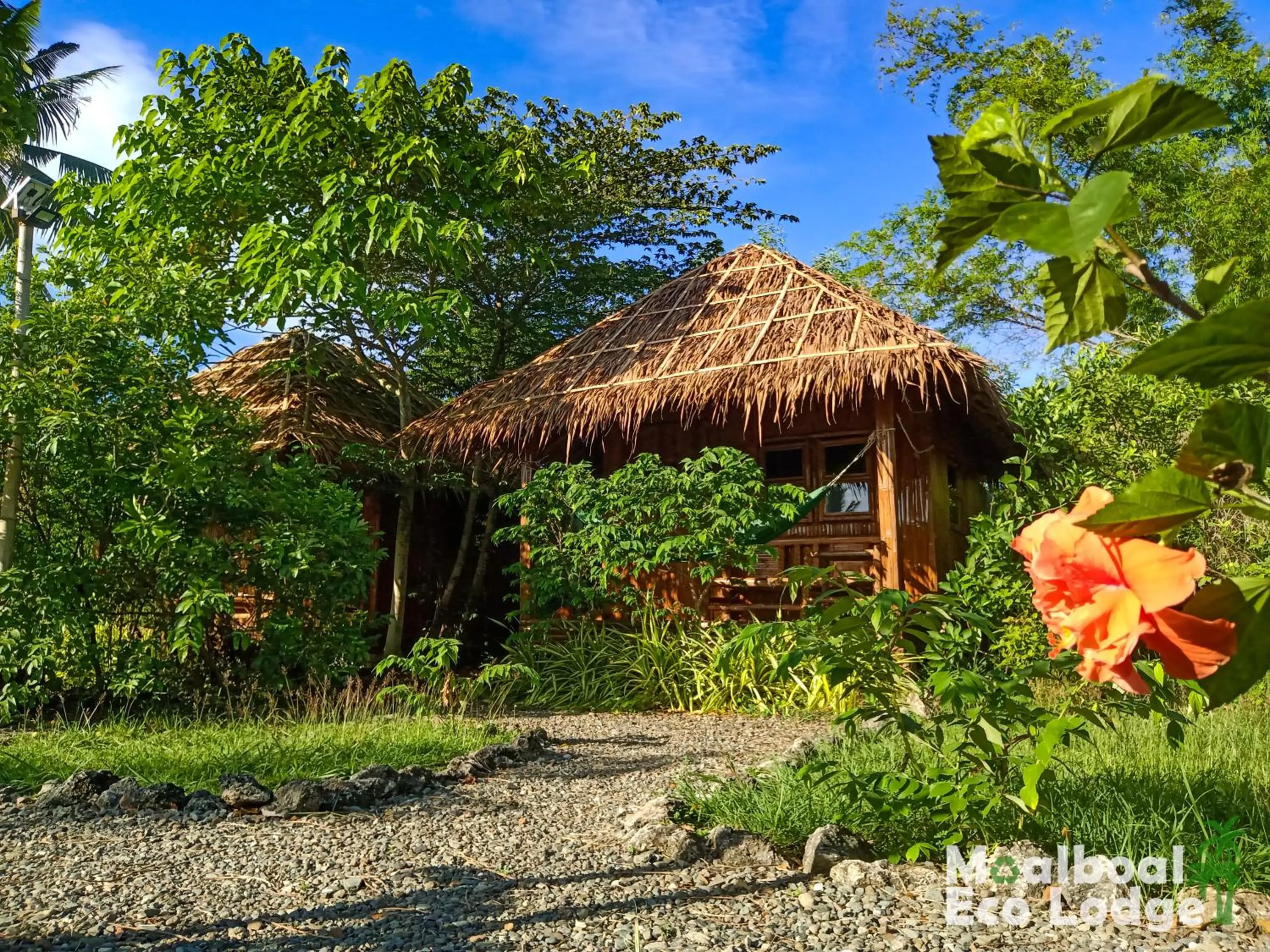 Garden in Moalboal Eco Lodge