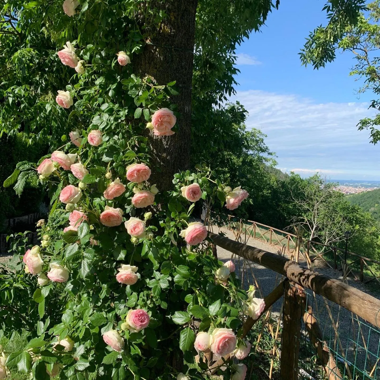 Spring in Antico Podere San Luca
