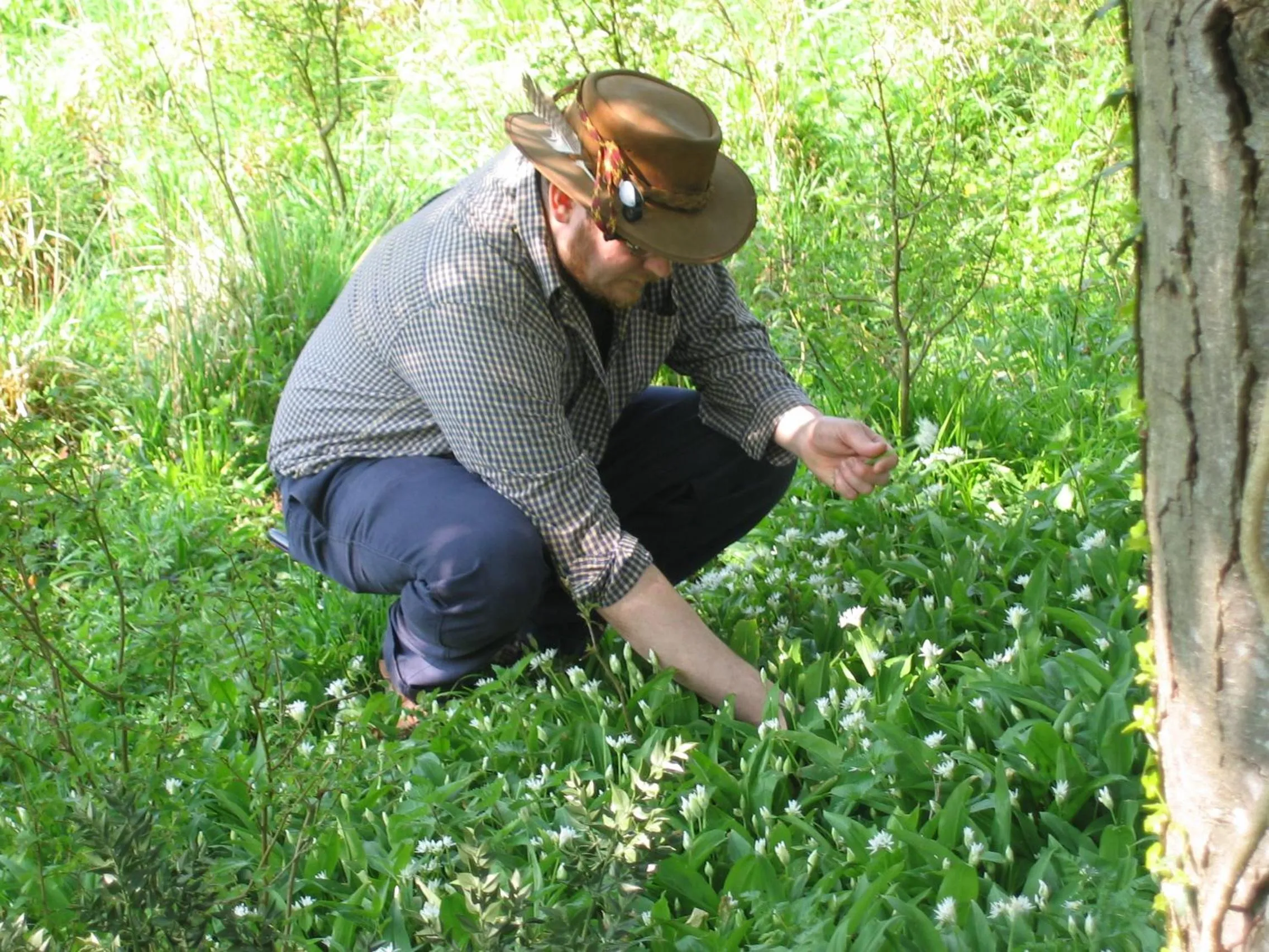 Restaurant/places to eat in La Fosse at Cranborne