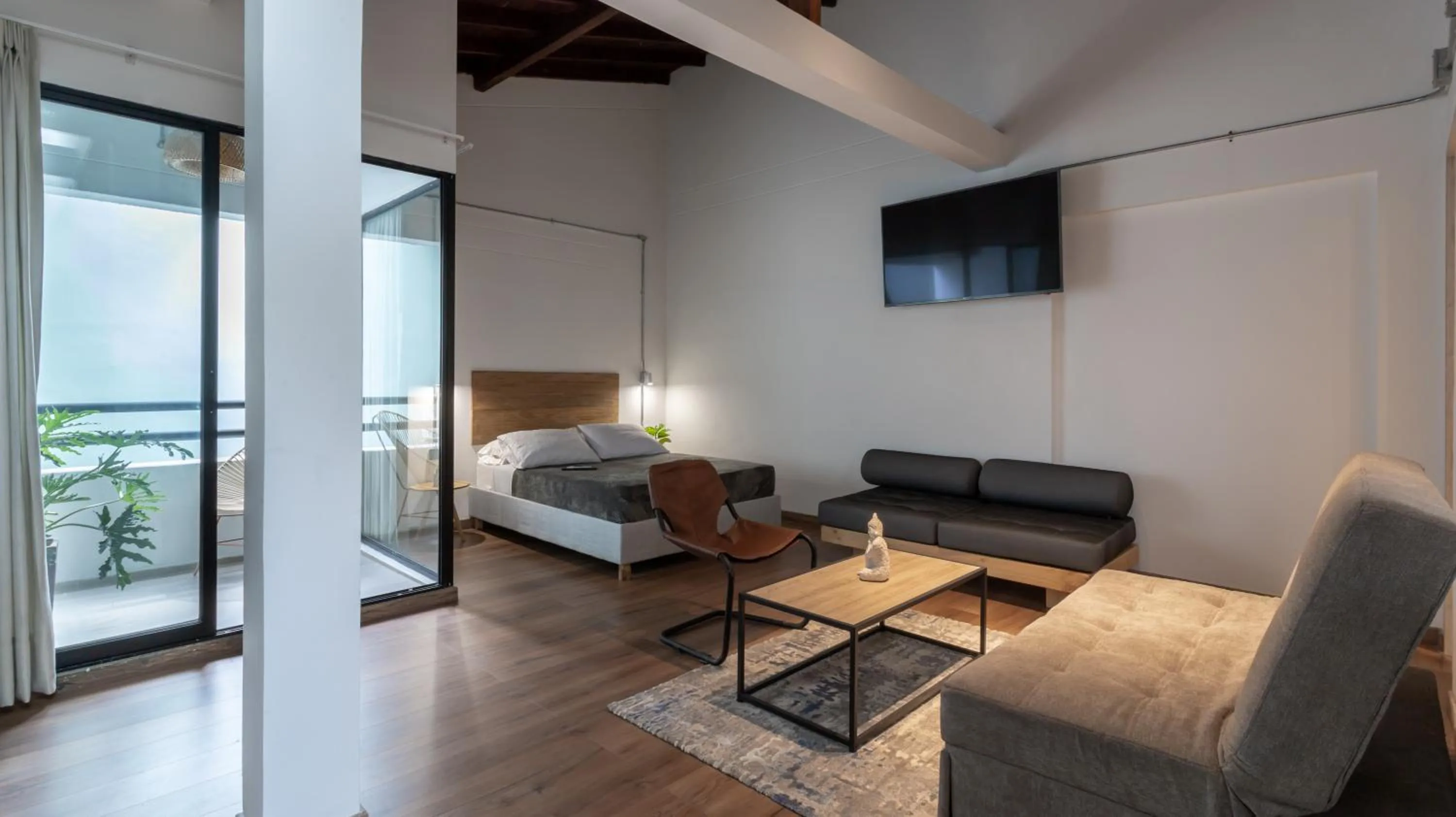 TV and multimedia in Soy Local Primavera