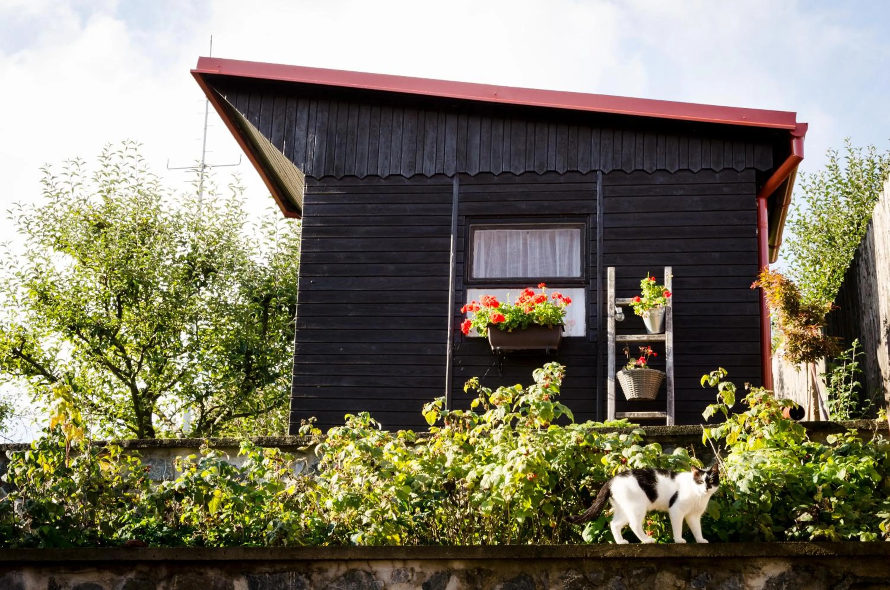 Neighbourhood in Apartmány u Kotačků
