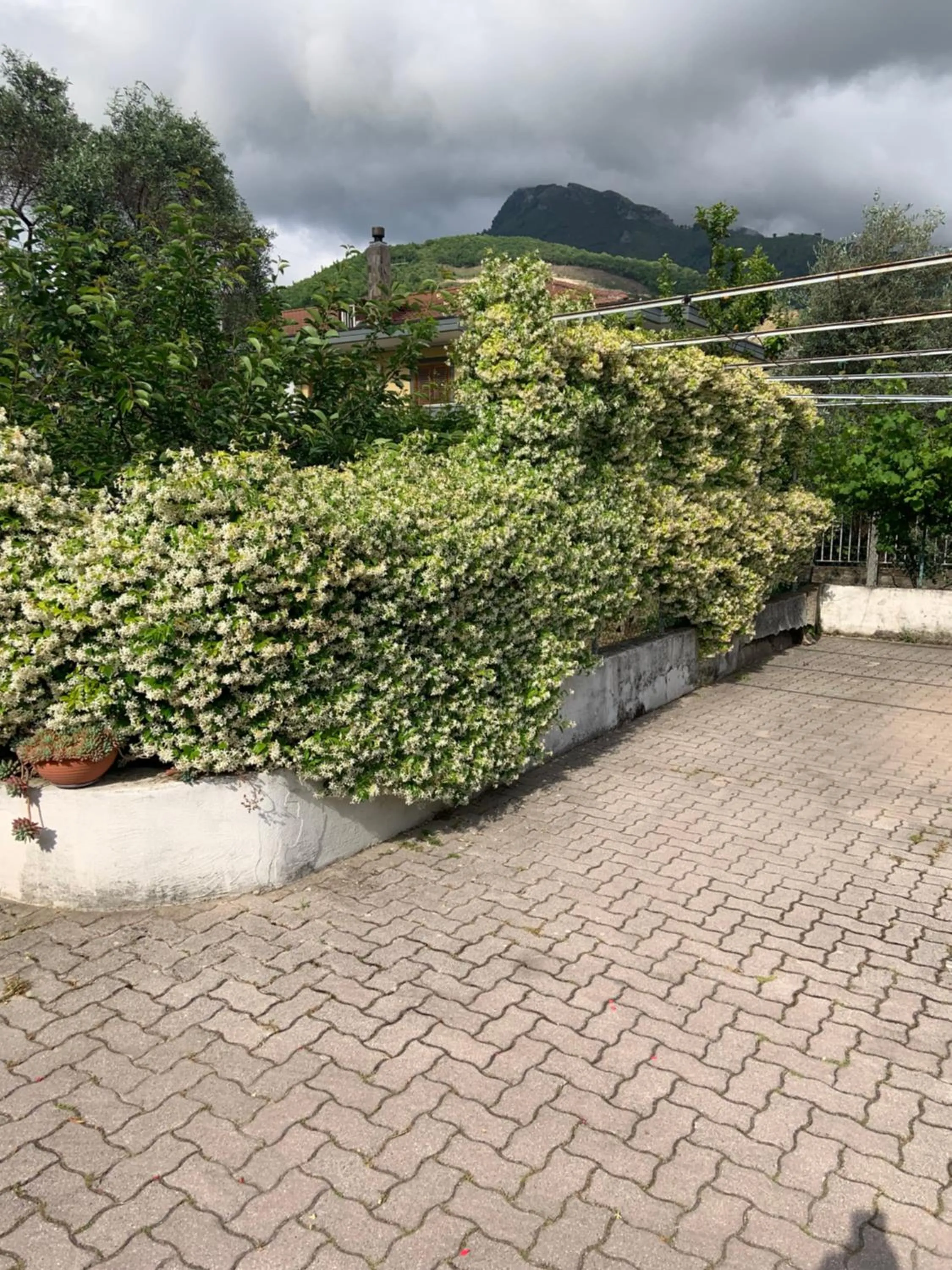 Inner courtyard view in AceroRosso B&B