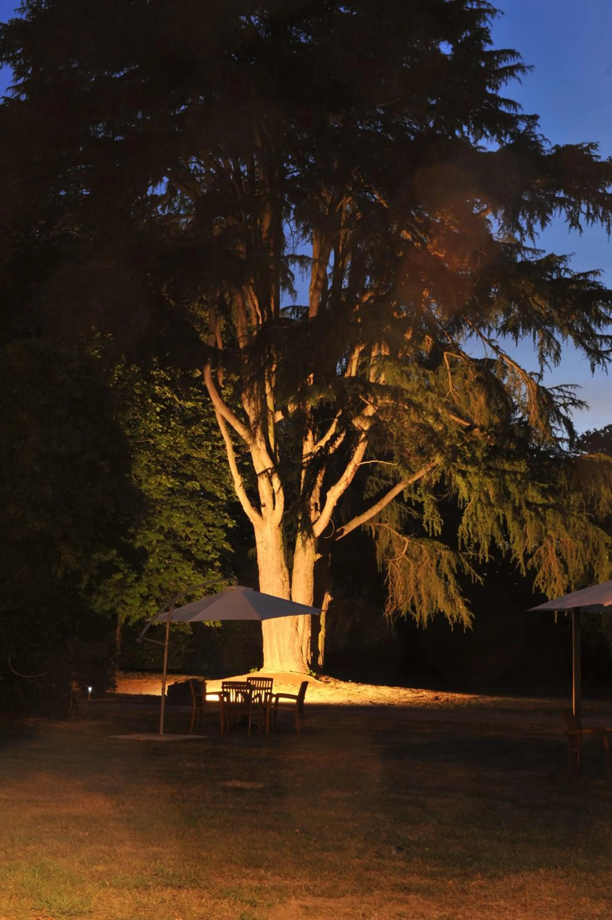 Garden in Logis Le Parc Hotel & Spa