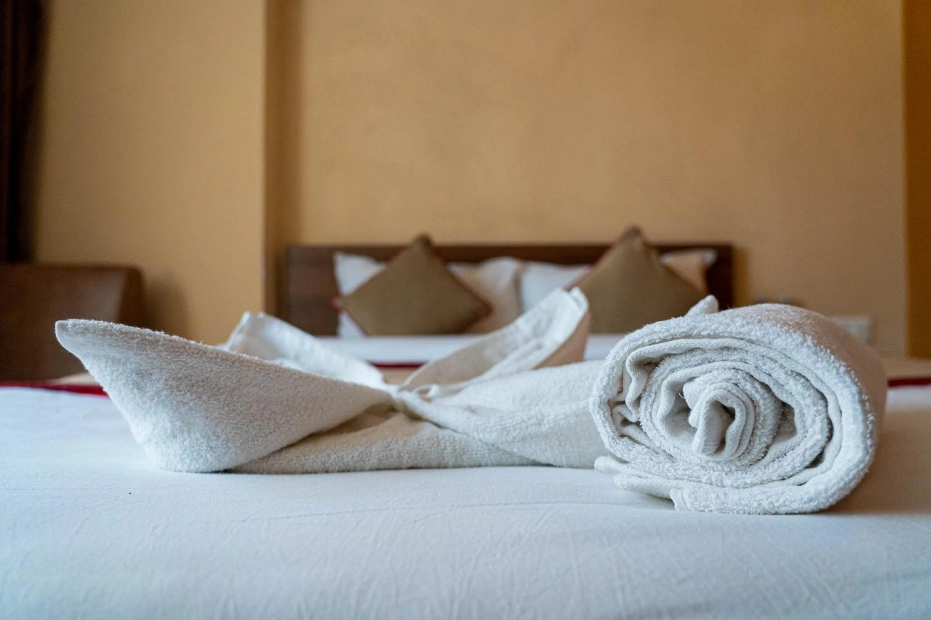 Bedroom, Bed in Holiday Hostel