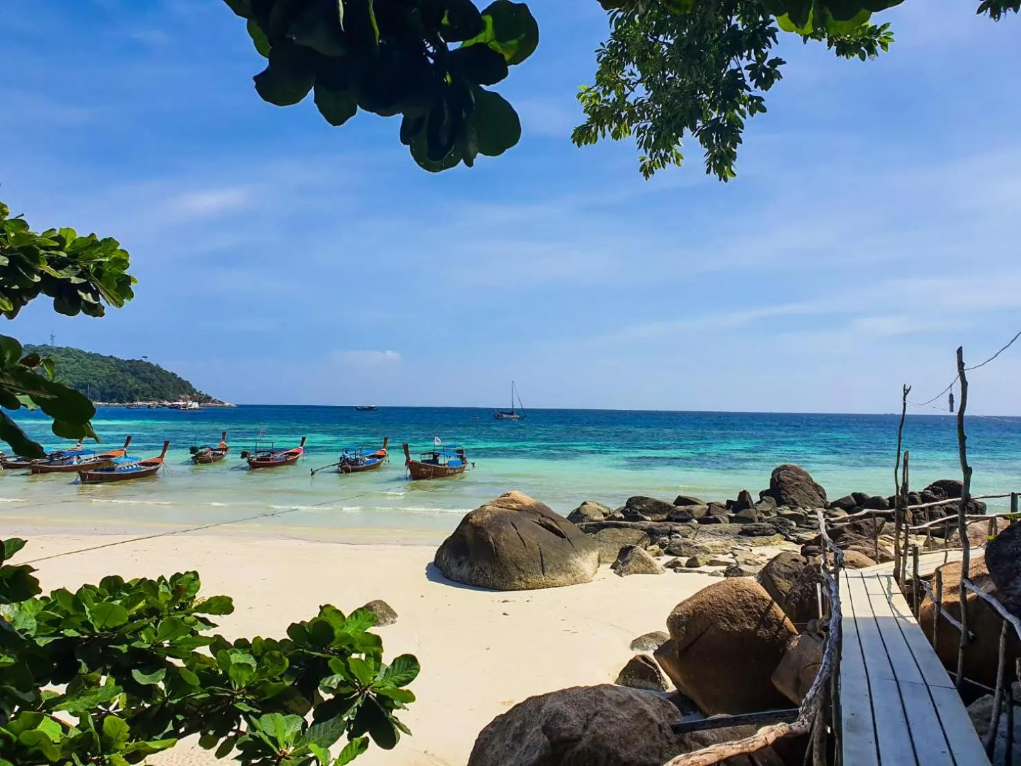 Natural landscape in Chareena Garden