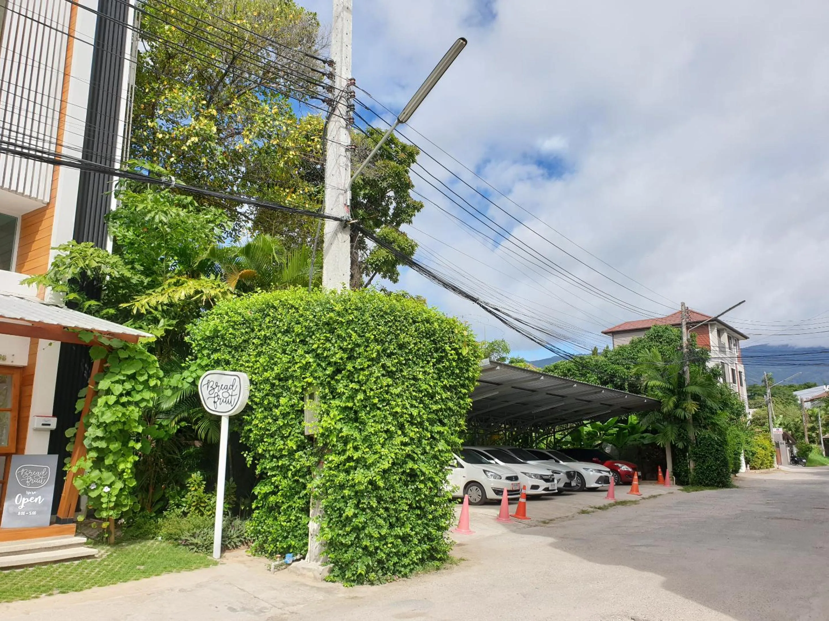 Parking in Breadfruit