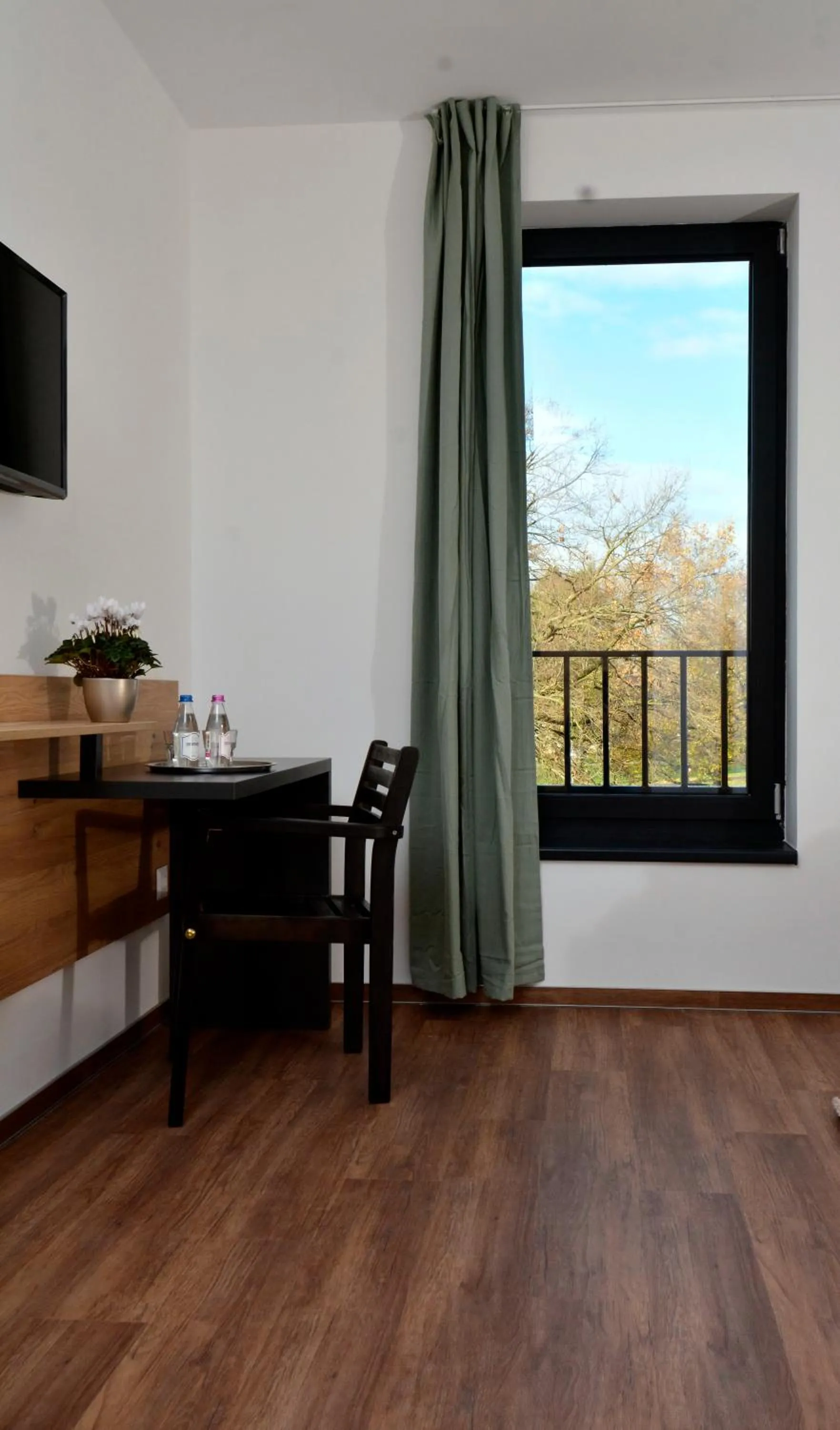 View (from property/room) in Ludwig Hotel