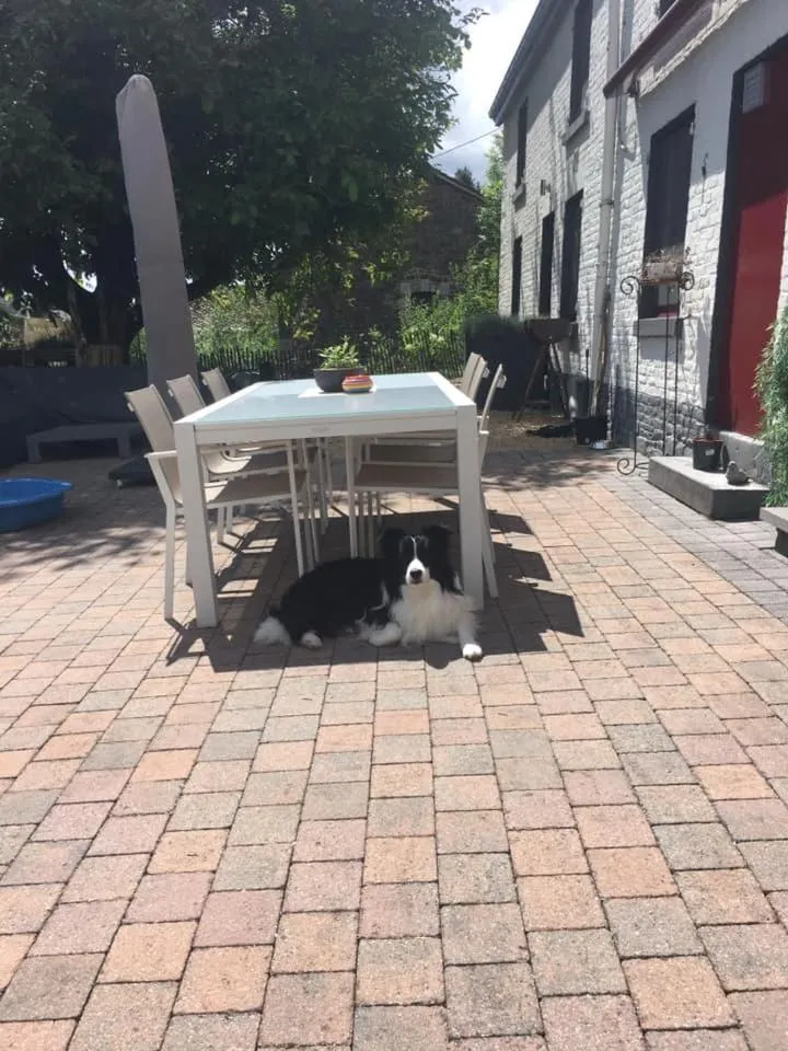 Balcony/Terrace in B&B De Notelaar