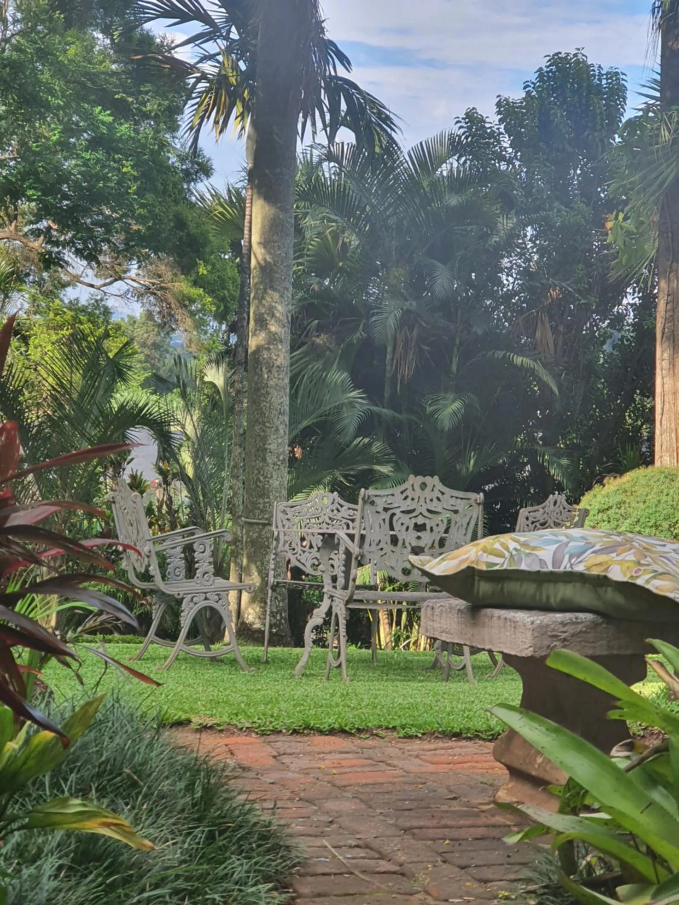 Garden in St George's Guest House