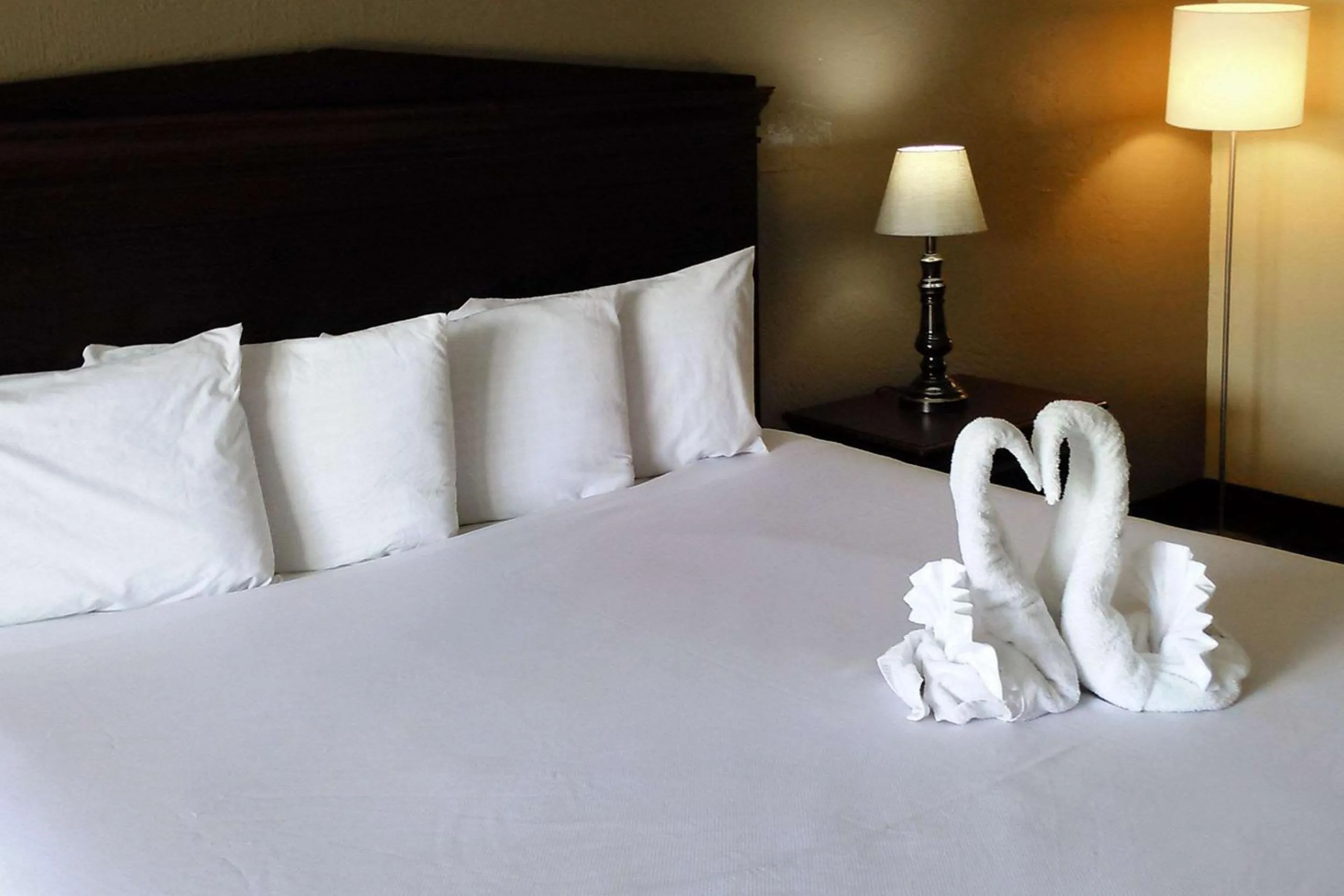 King Room - Accessible/Non-Smoking in Econo Lodge Ormond Beach North - Daytona