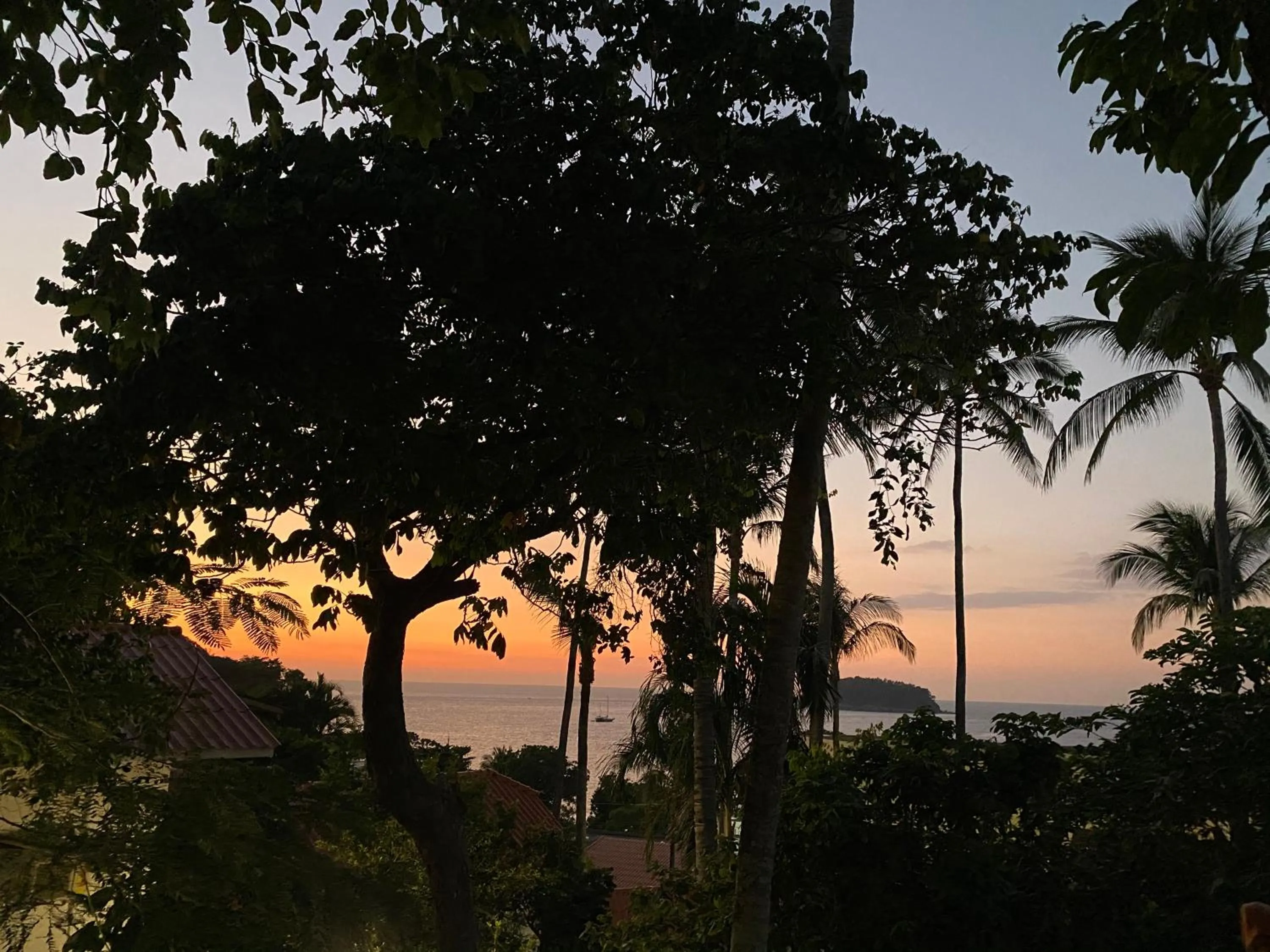 Natural landscape in Kata White Villas