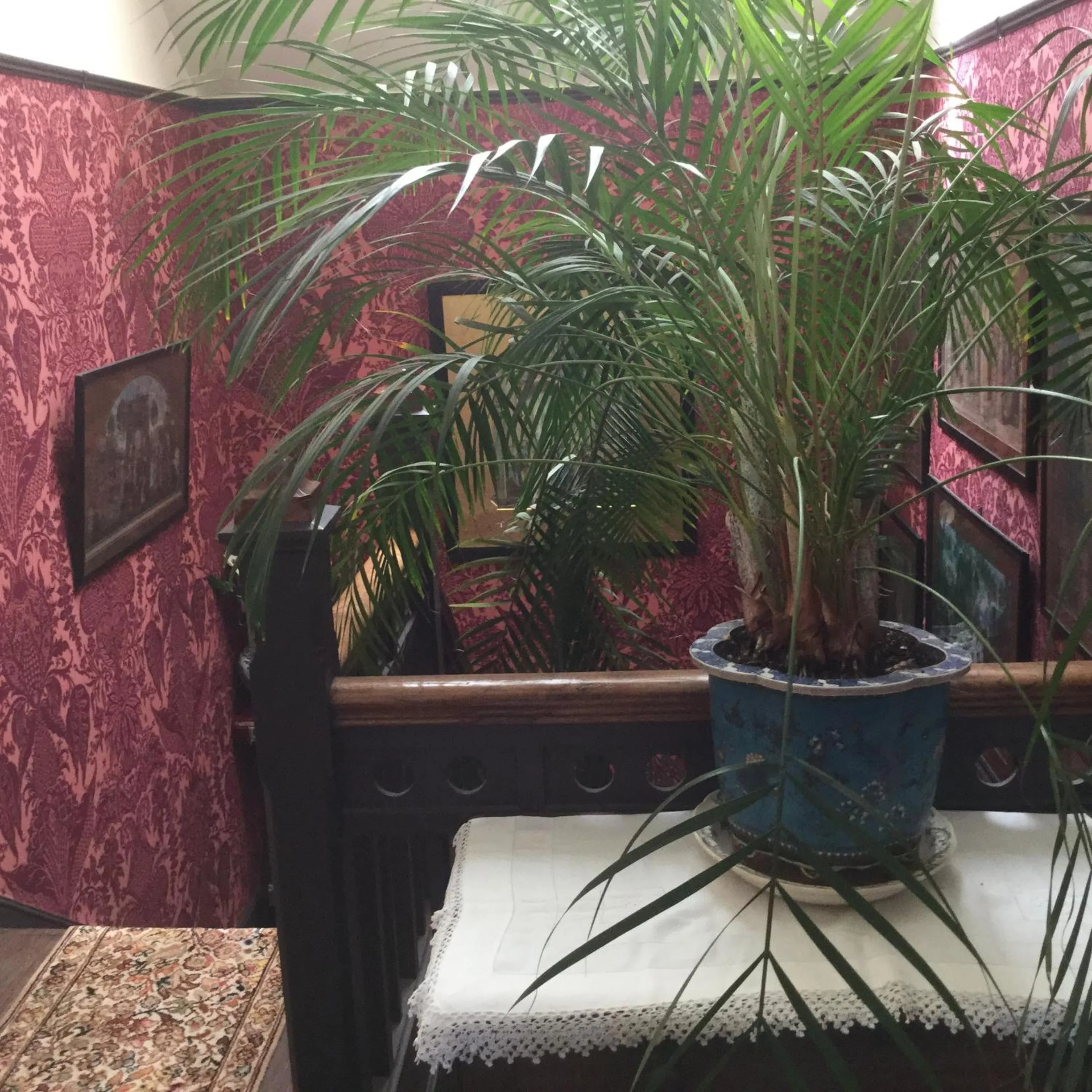 Area and facilities in St Benedict - Victorian Bed and Breakfast