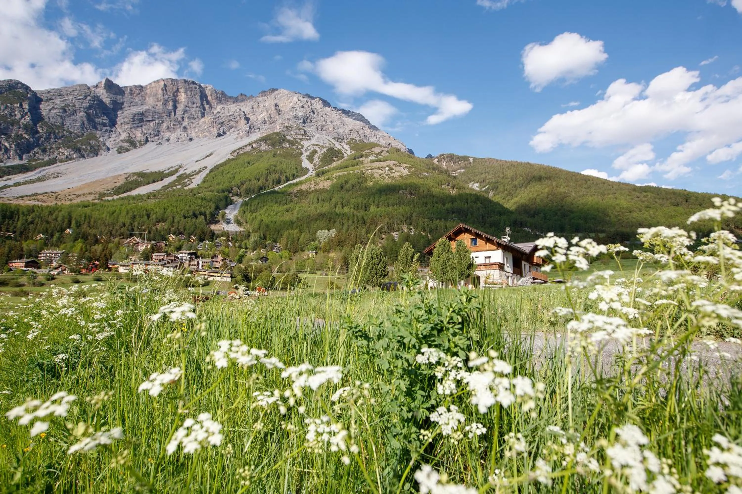 Natural landscape in Agriturismo San Gallo