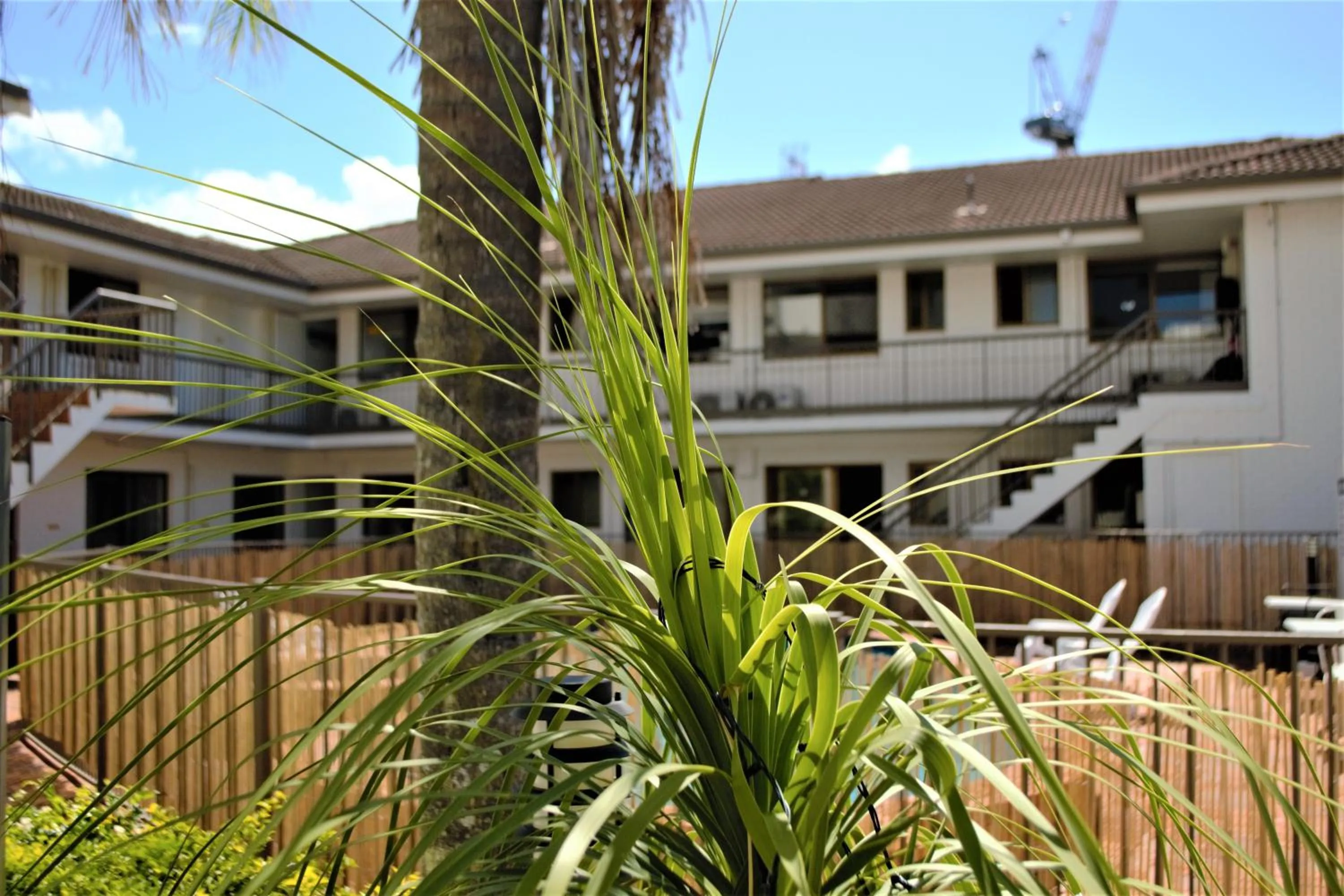 Property building in Gold Coast Inn