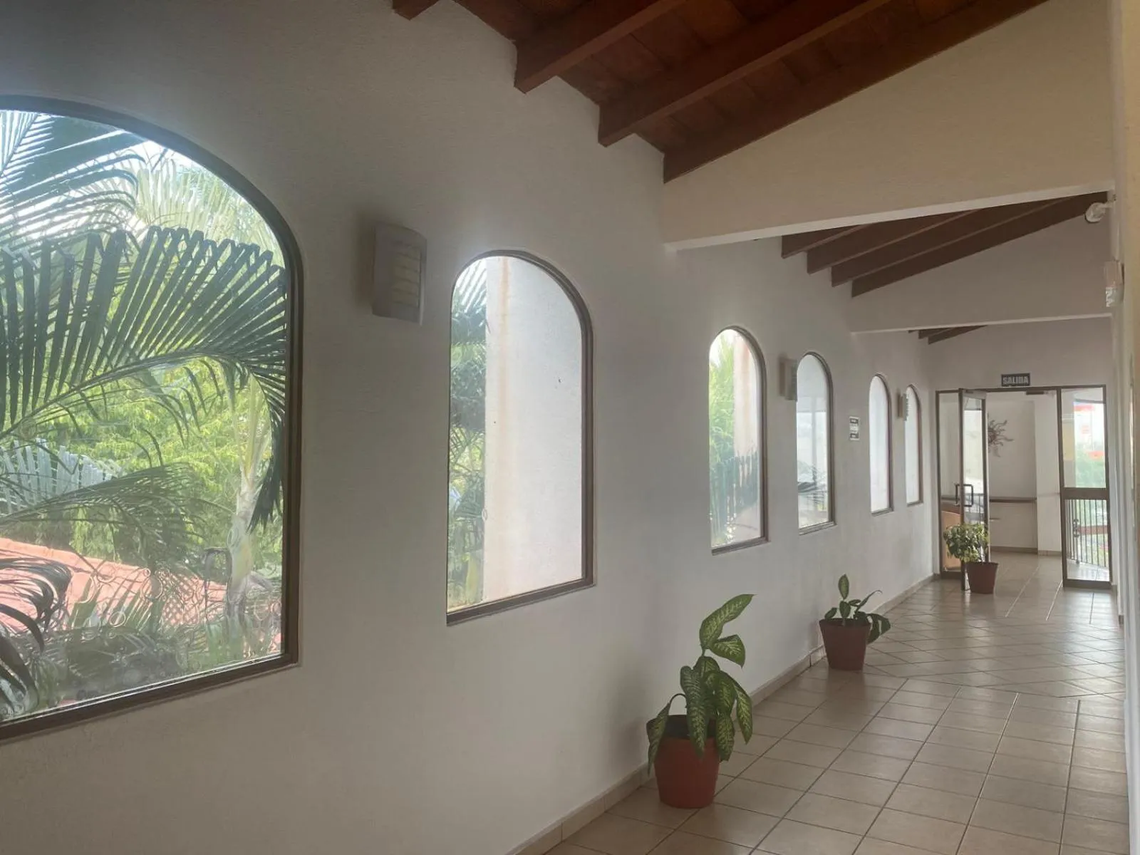 Garden view in Hotel Pez Vela