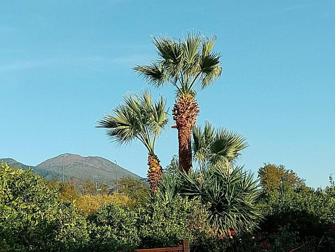 Breakfast in Antoniet