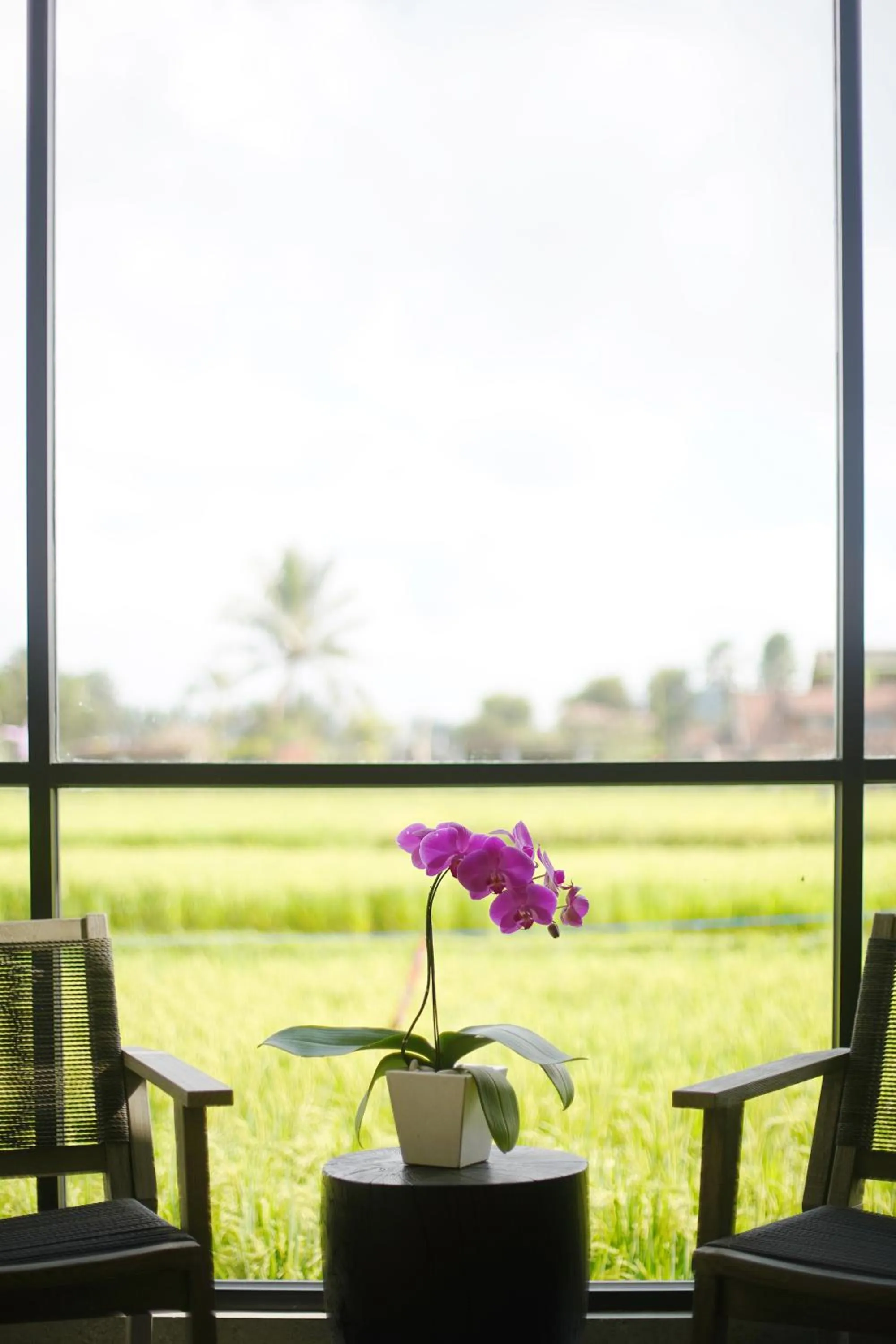 Decorative detail in Umah Tirta