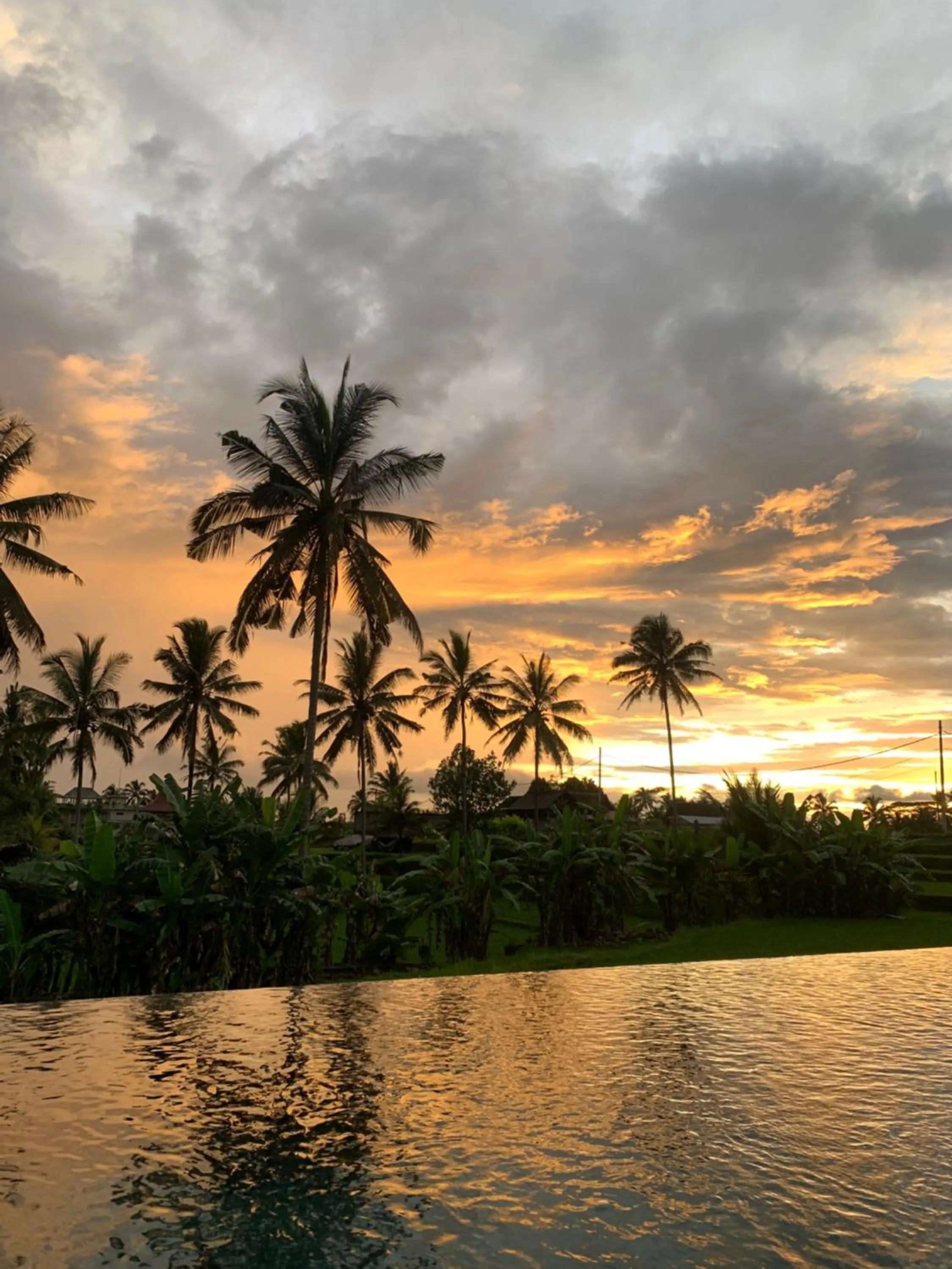 Natural landscape in Umah Tirta