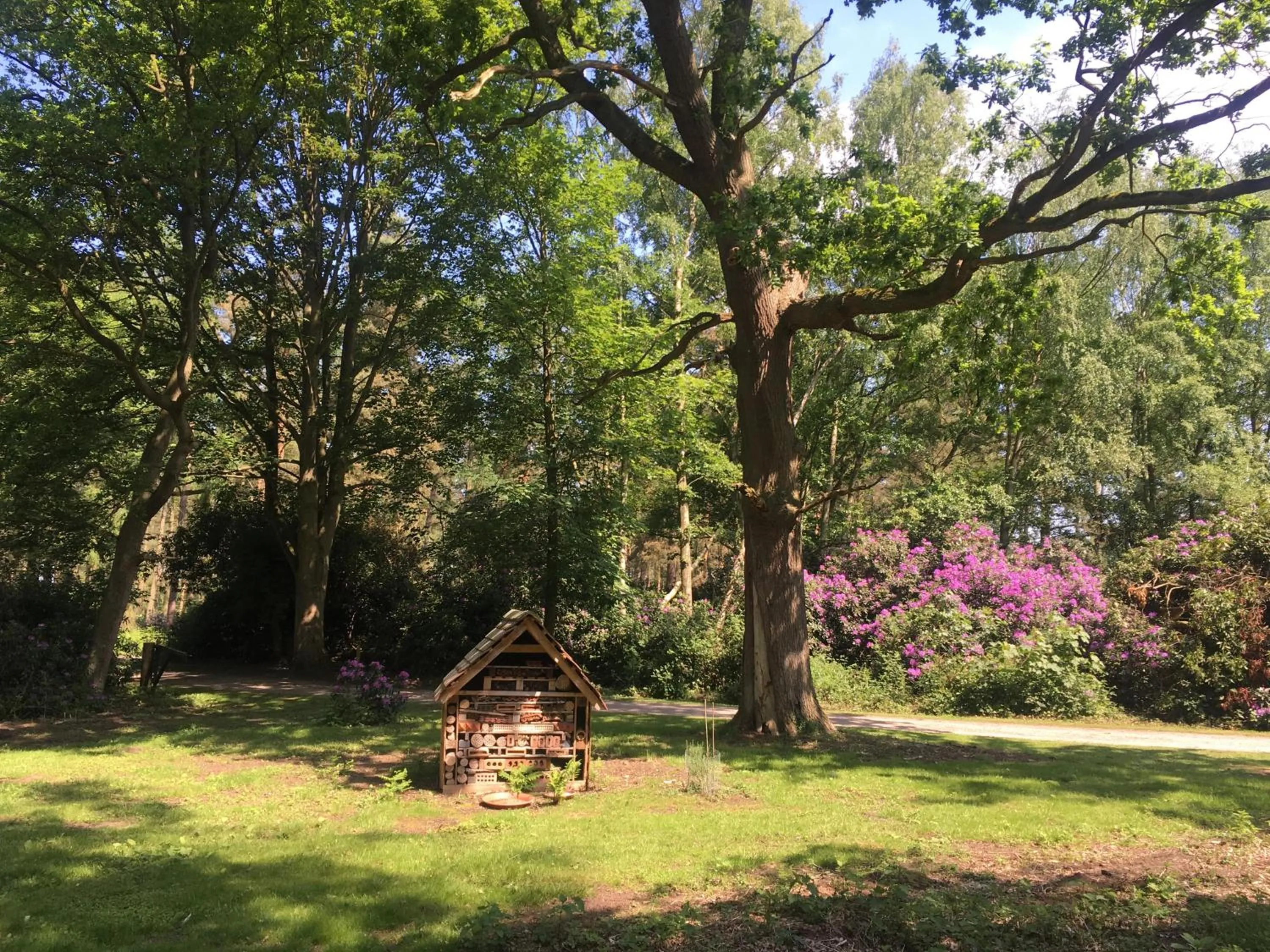 Natural landscape in Hollicarrs - Honeycomb Lodge