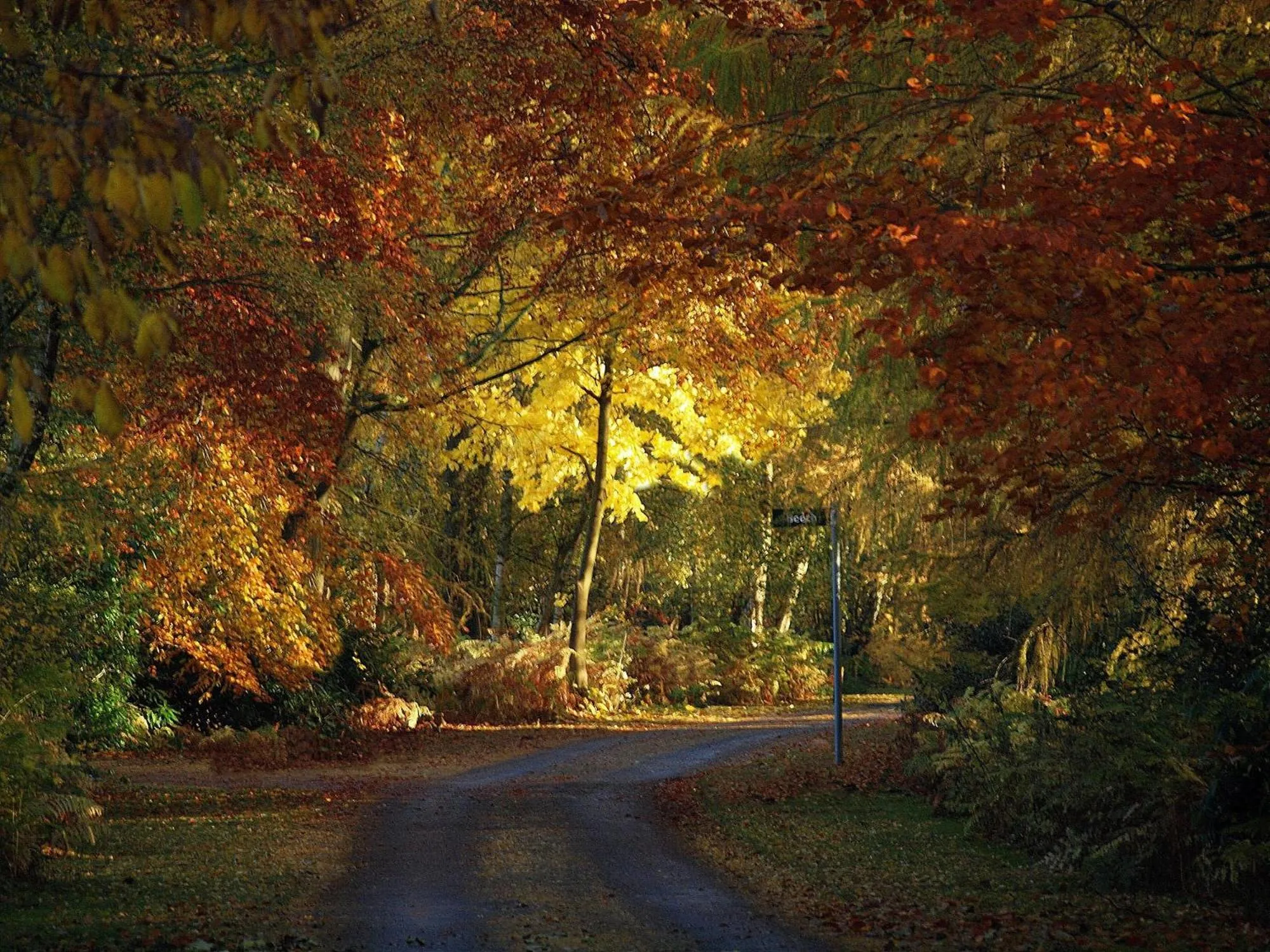Property building in Hollicarrs - Honeycomb Lodge