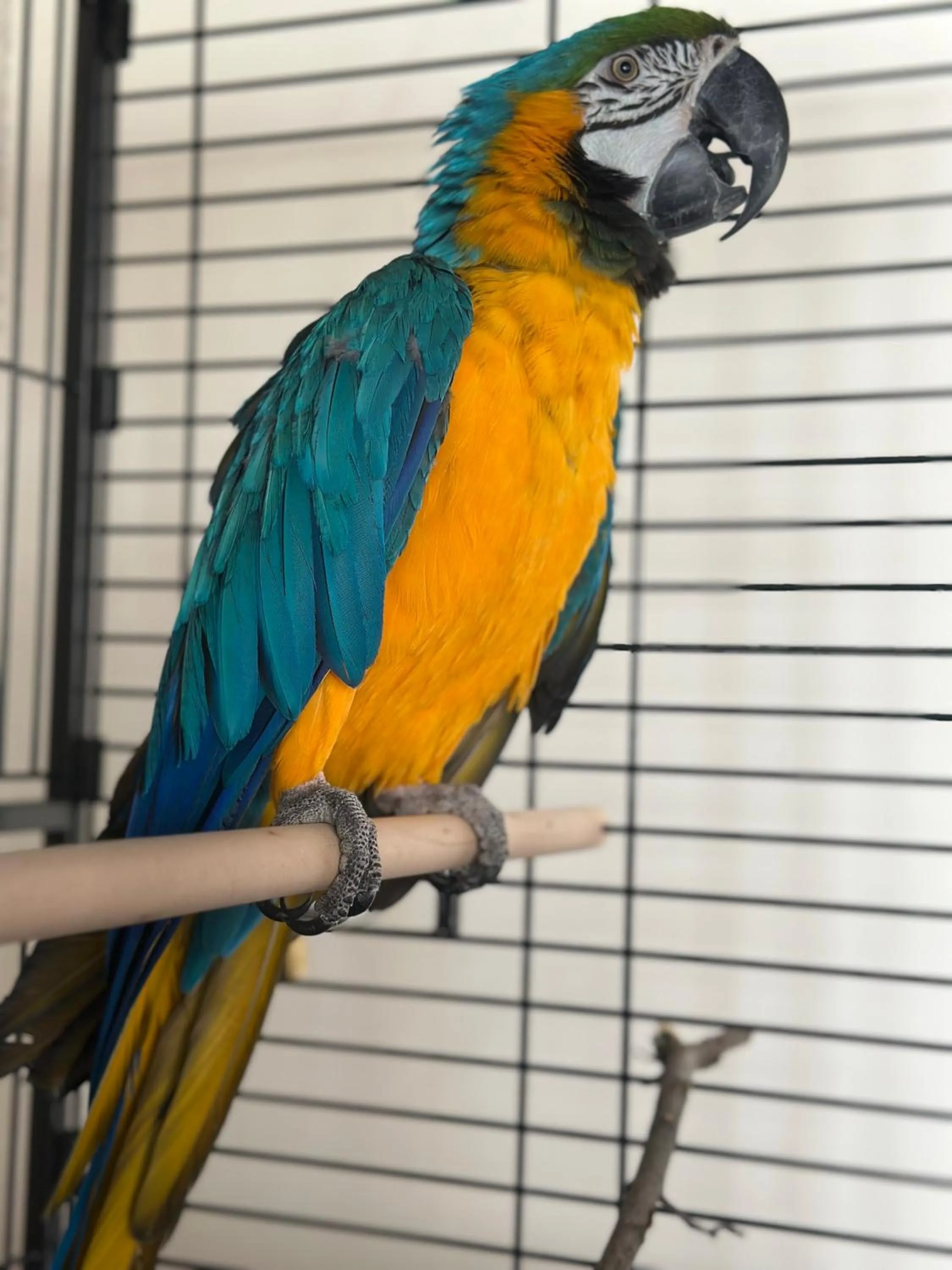 Aurora Resort Tsaghkadzor, By One