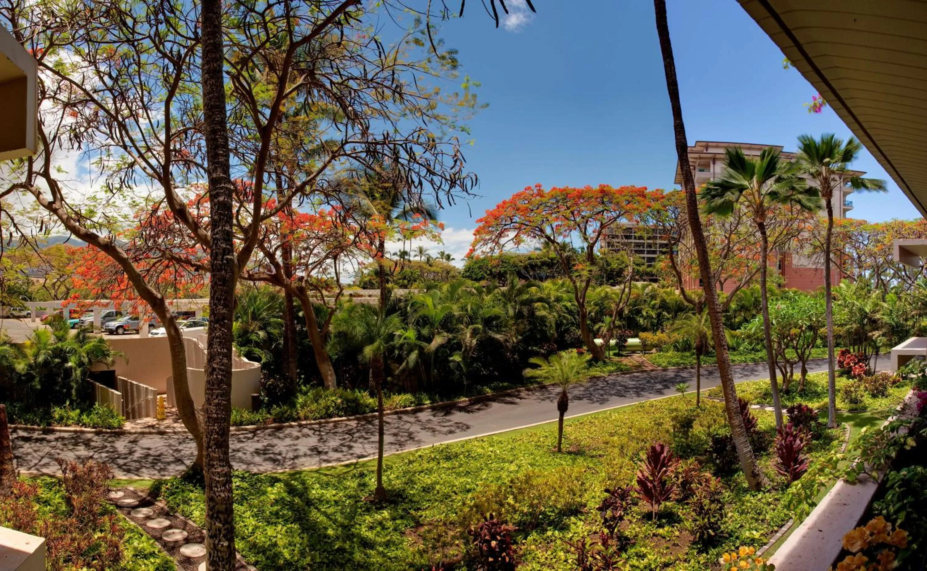 Photo of the whole room in Kaanapali Alii
