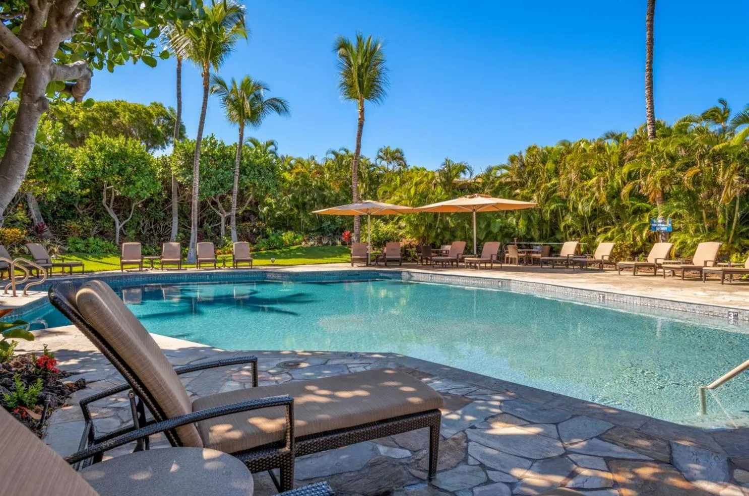 Swimming pool in Mauna Lani Point