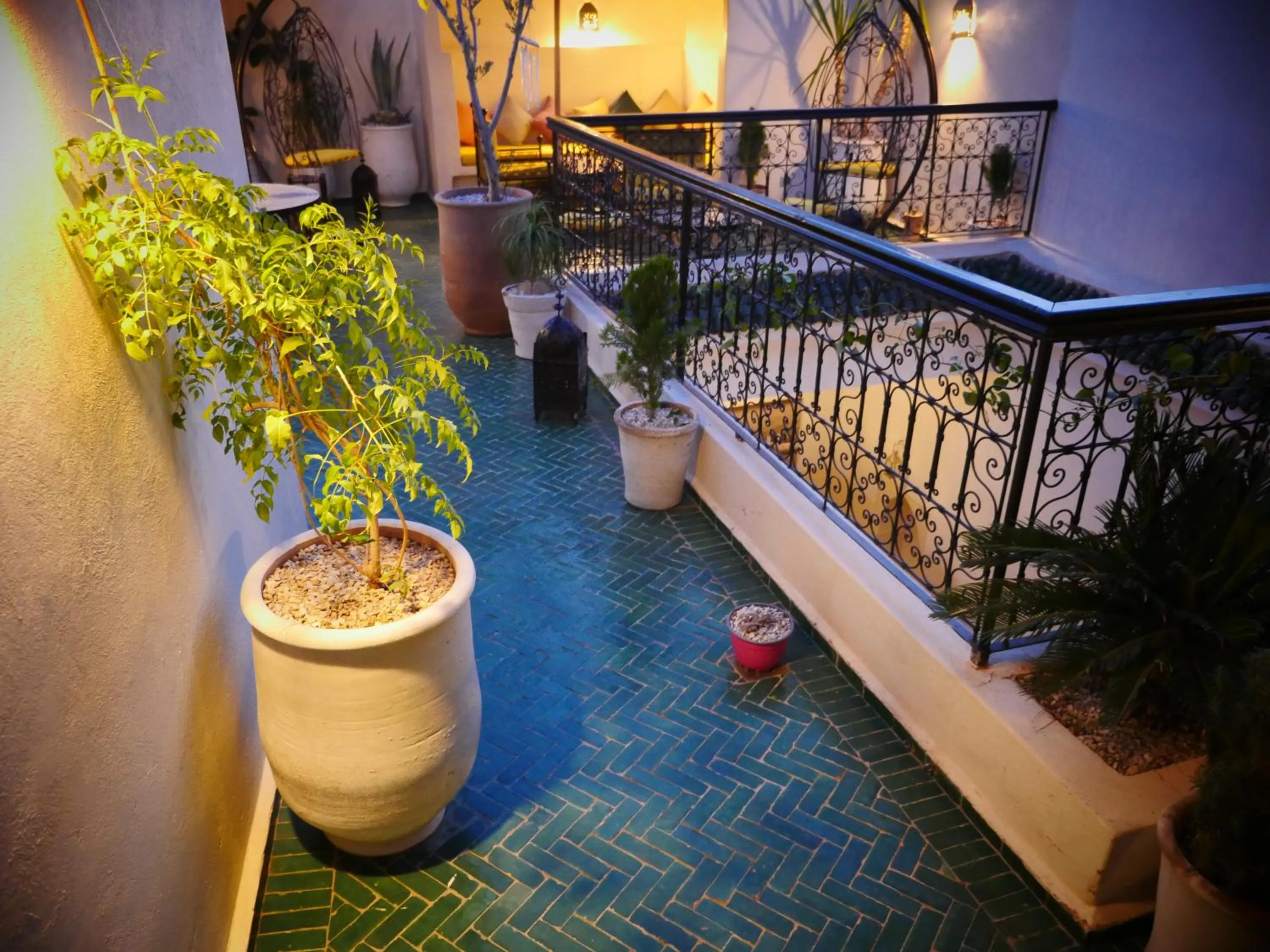 Staff in SARDINAS & CHILI