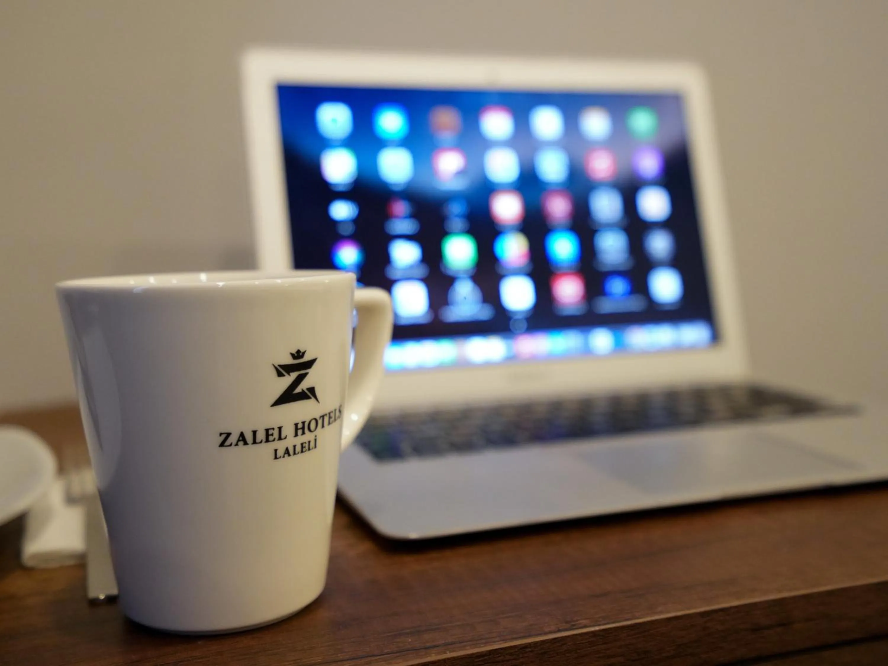 Business facilities in Zalel Hotels Laleli