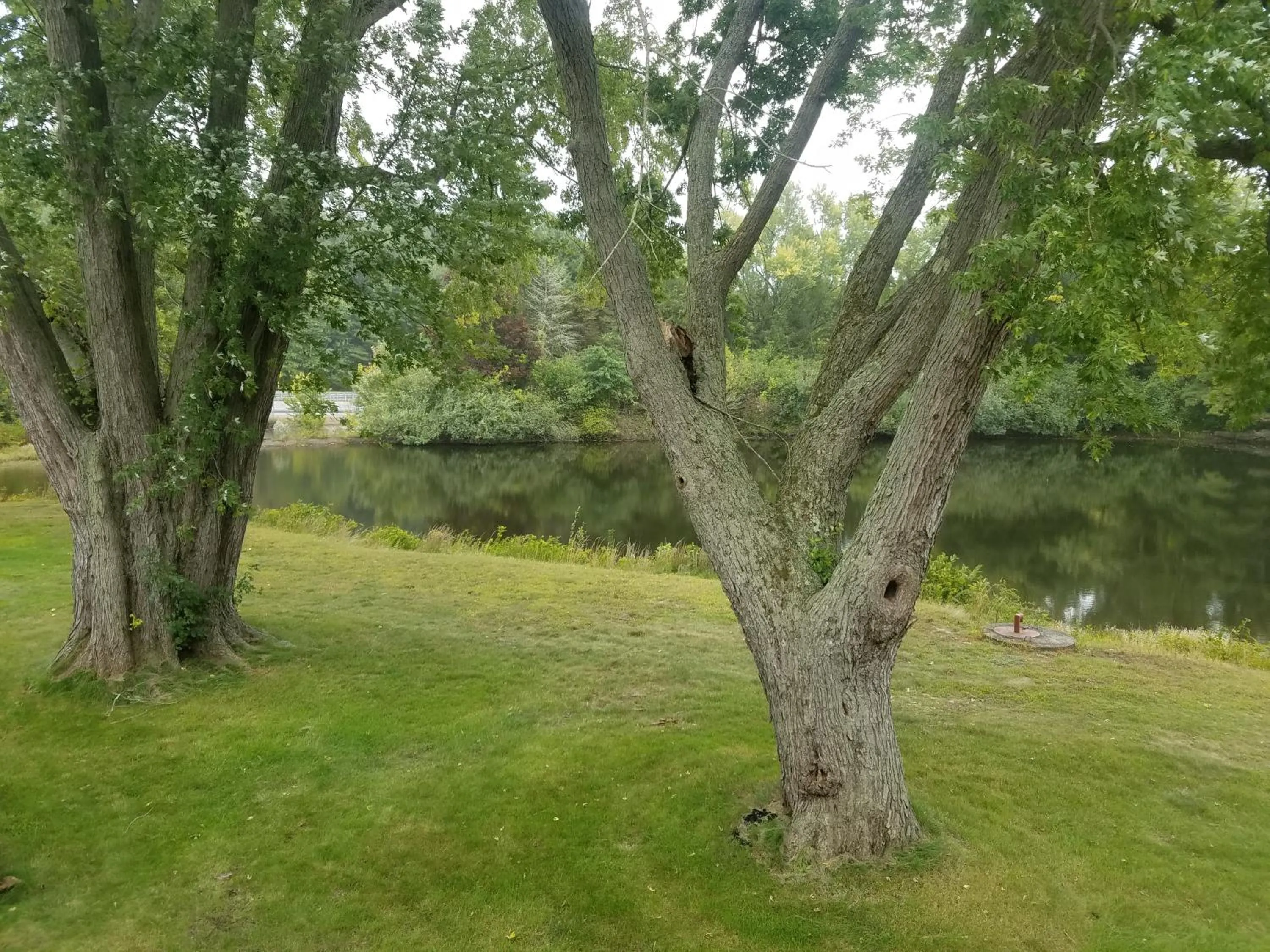 Lake view in Motel 6 Putnam CT