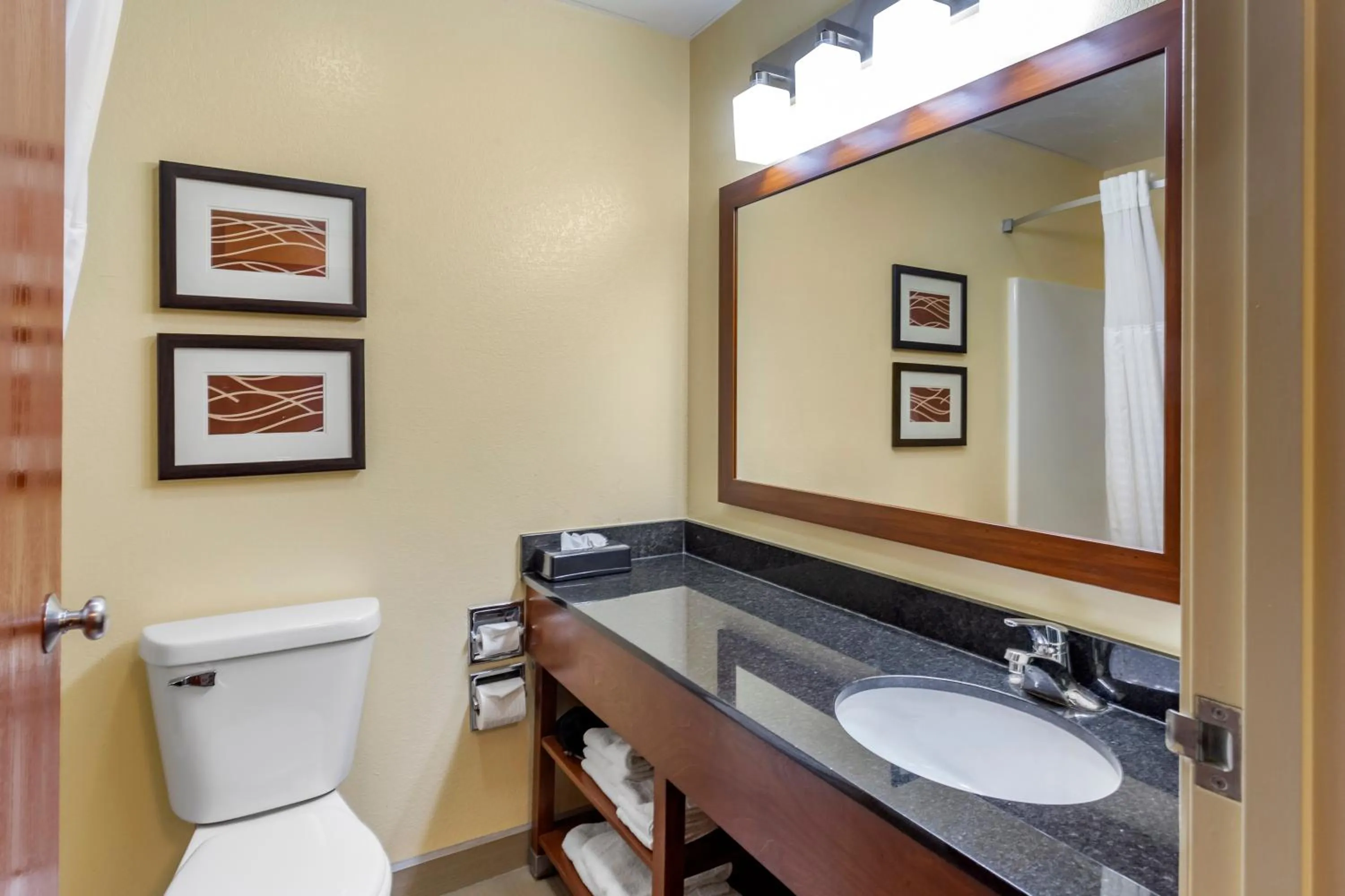 Bathroom in Comfort Inn & Suites North Aurora - Naperville