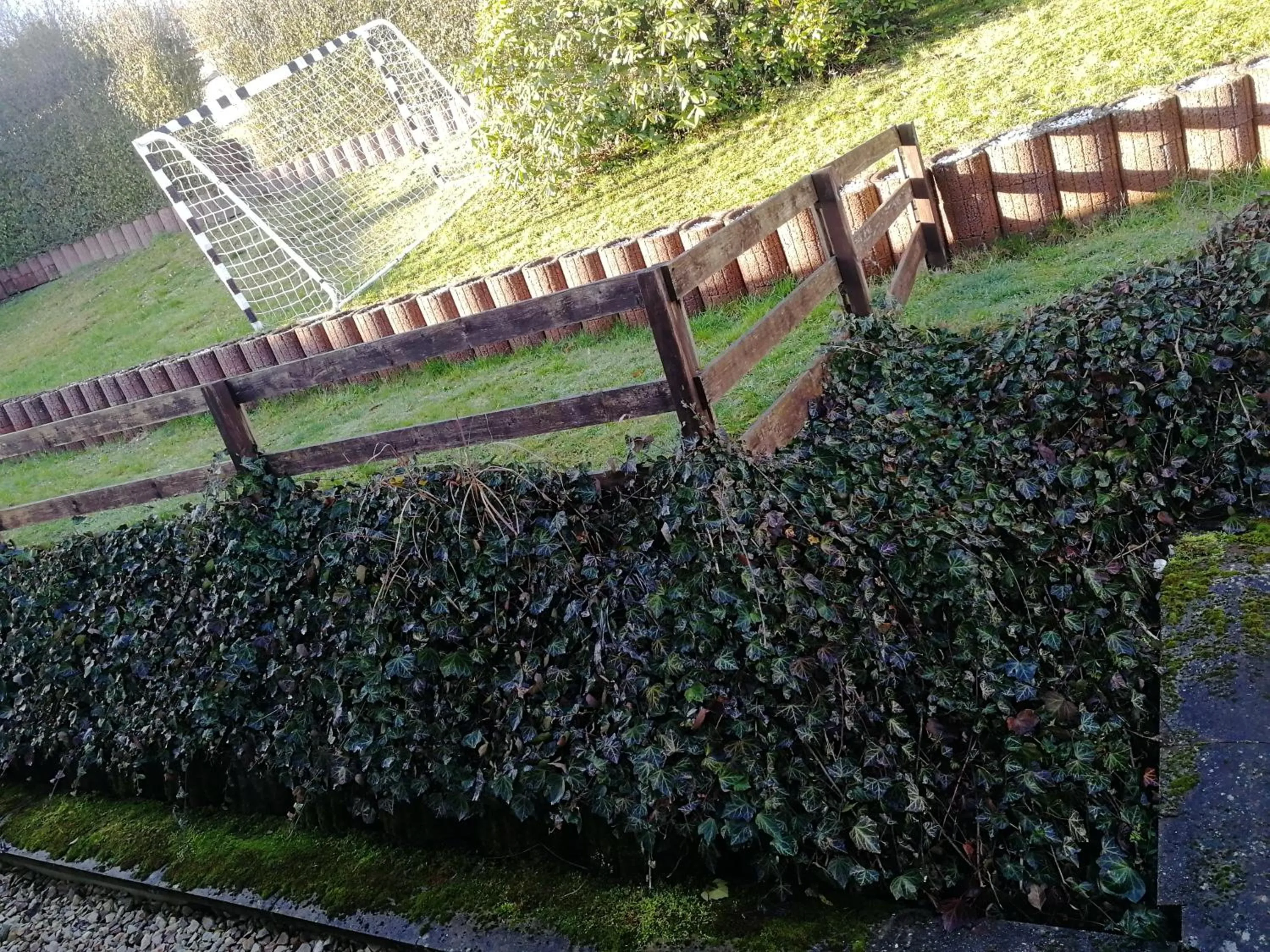 Garden view in Gasthaus Hochwald