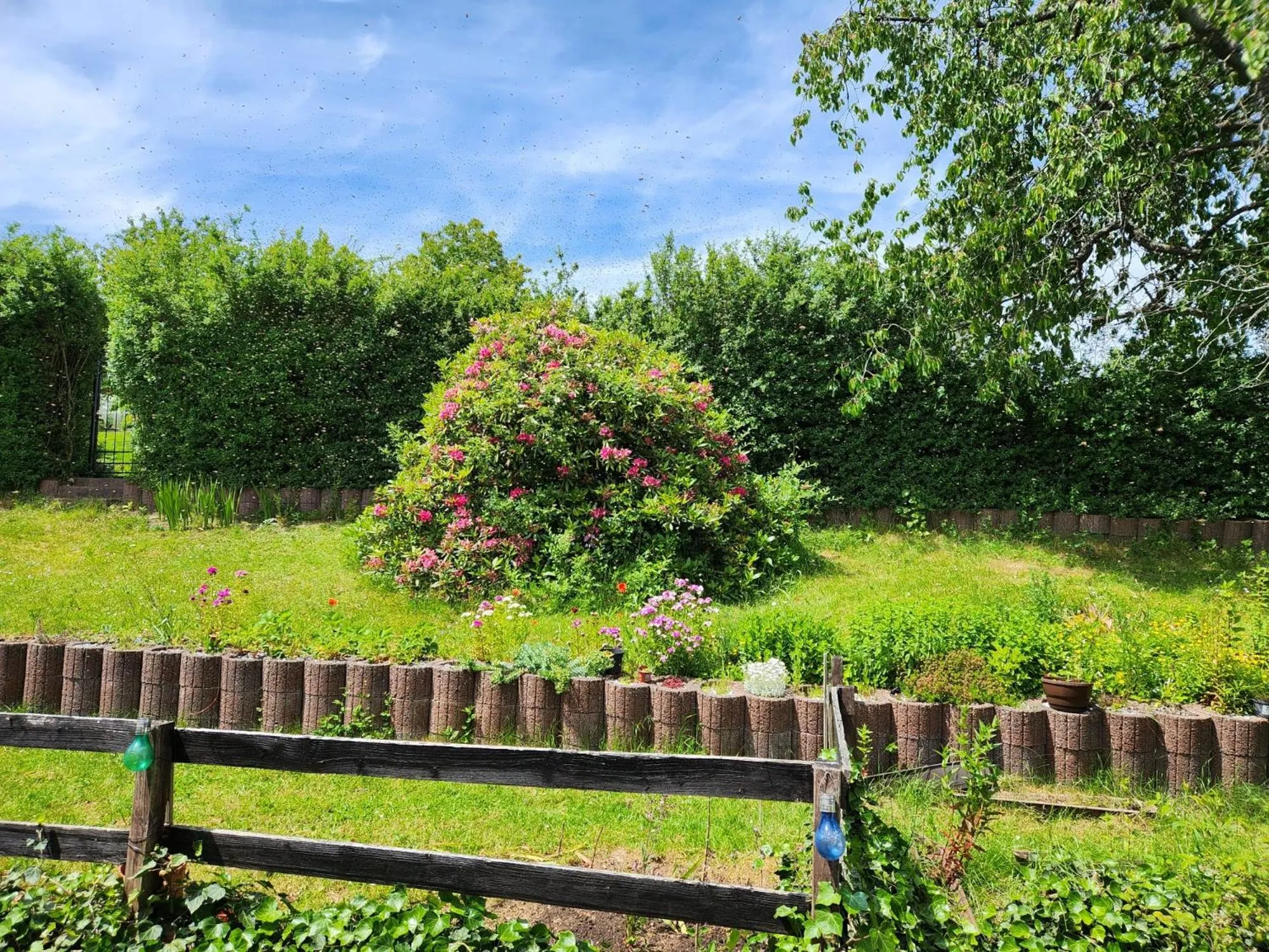 Garden in Gasthaus Hochwald