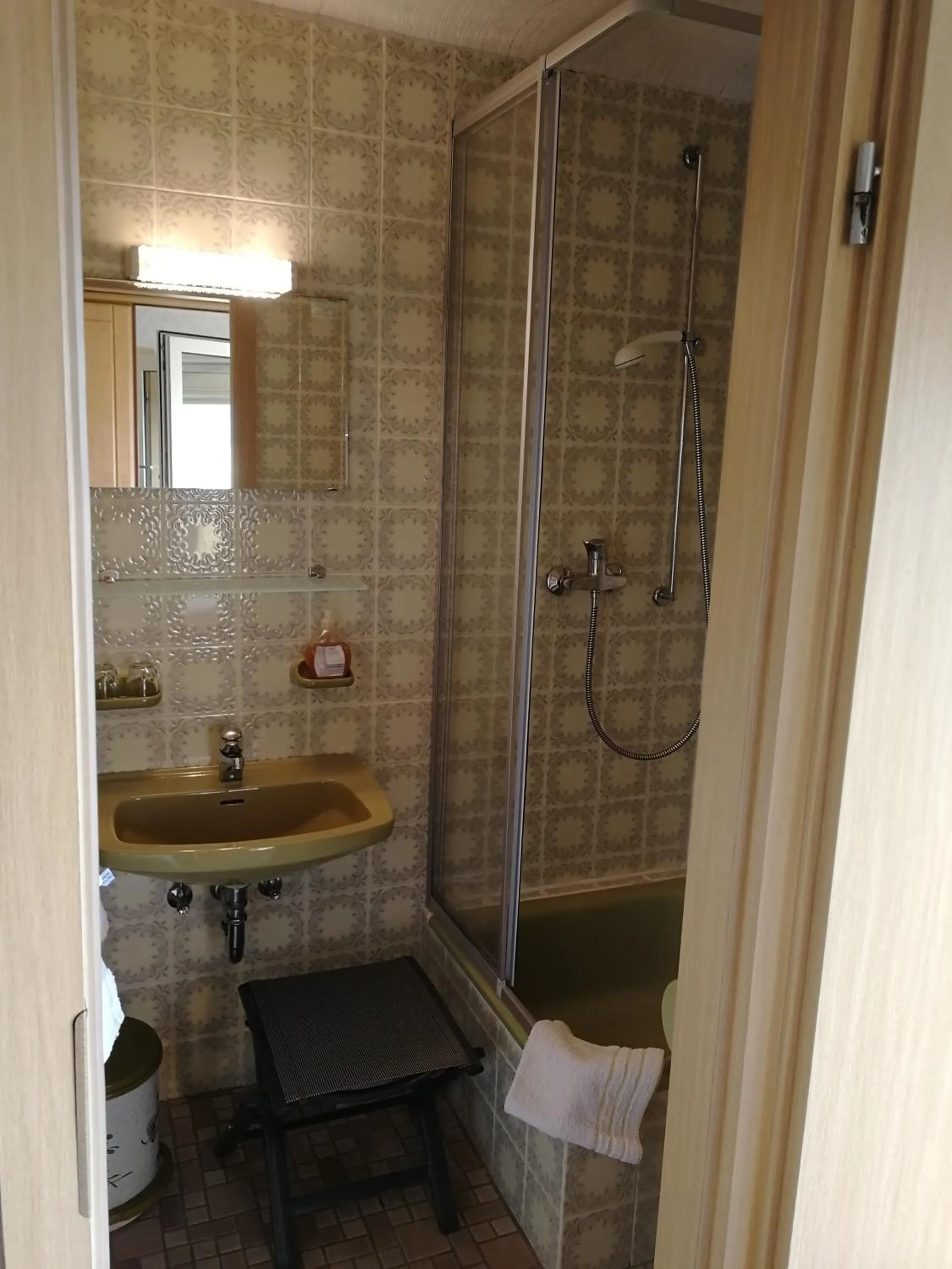 Shower in Gasthaus Hochwald