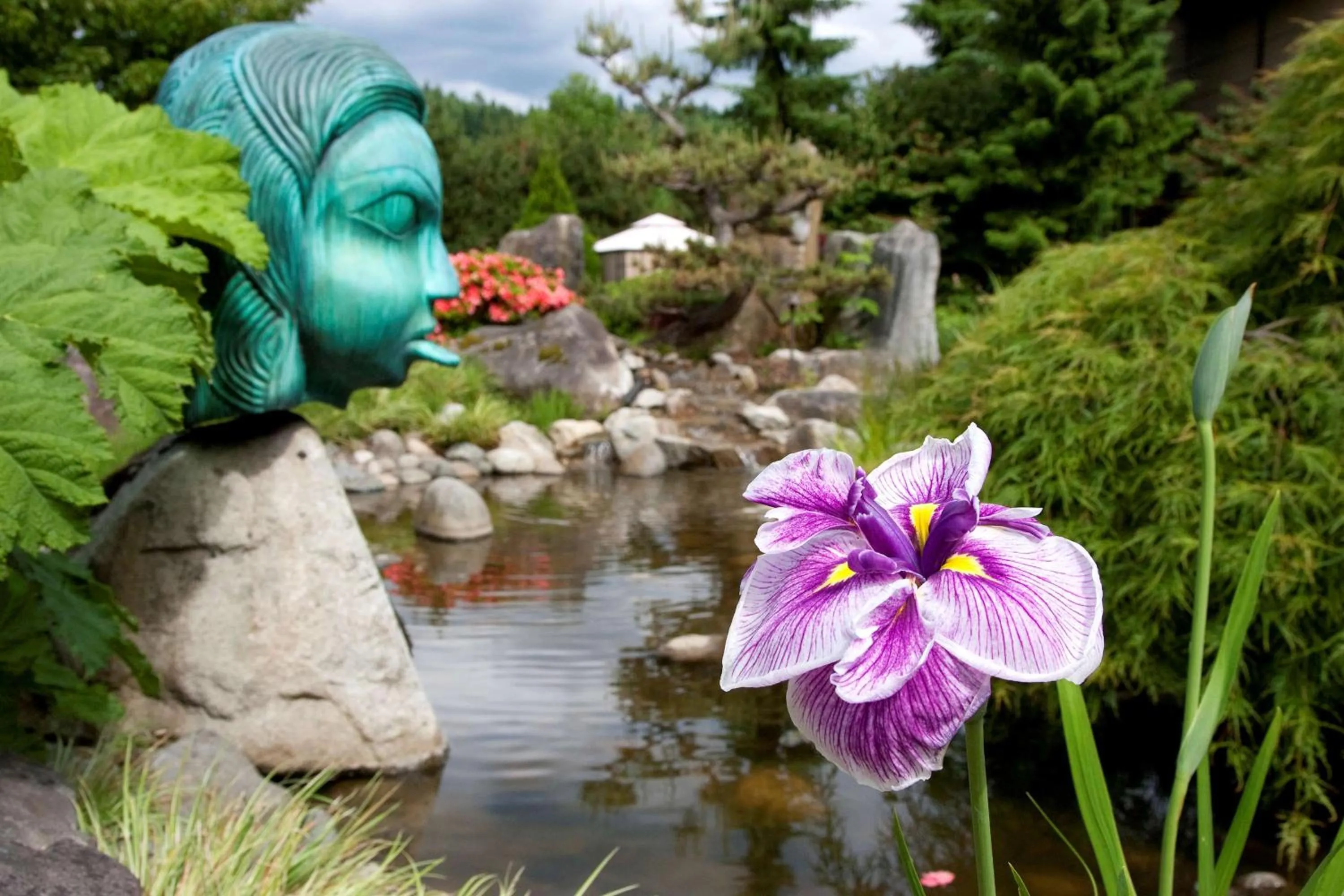 Property building in Willows Lodge