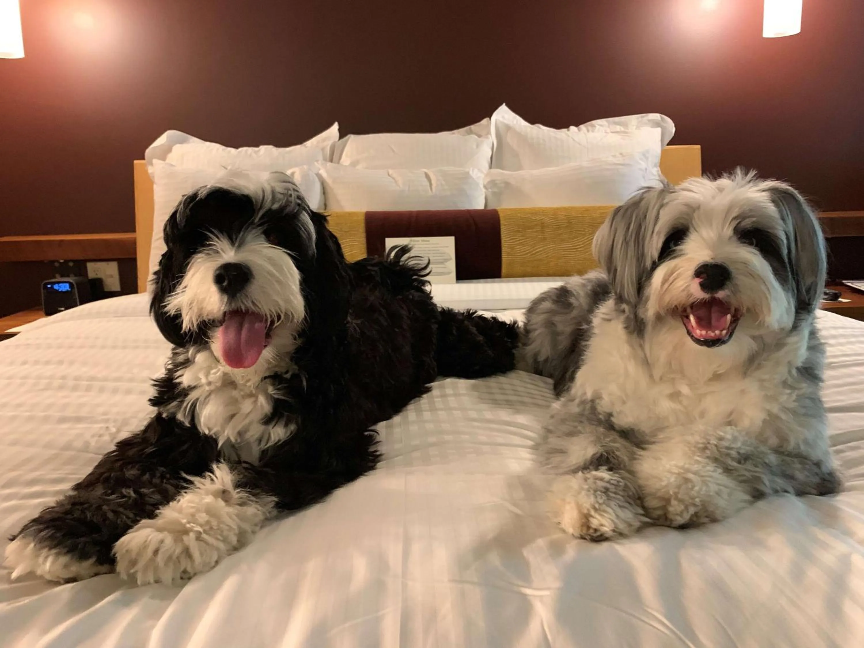 Property building in Willows Lodge