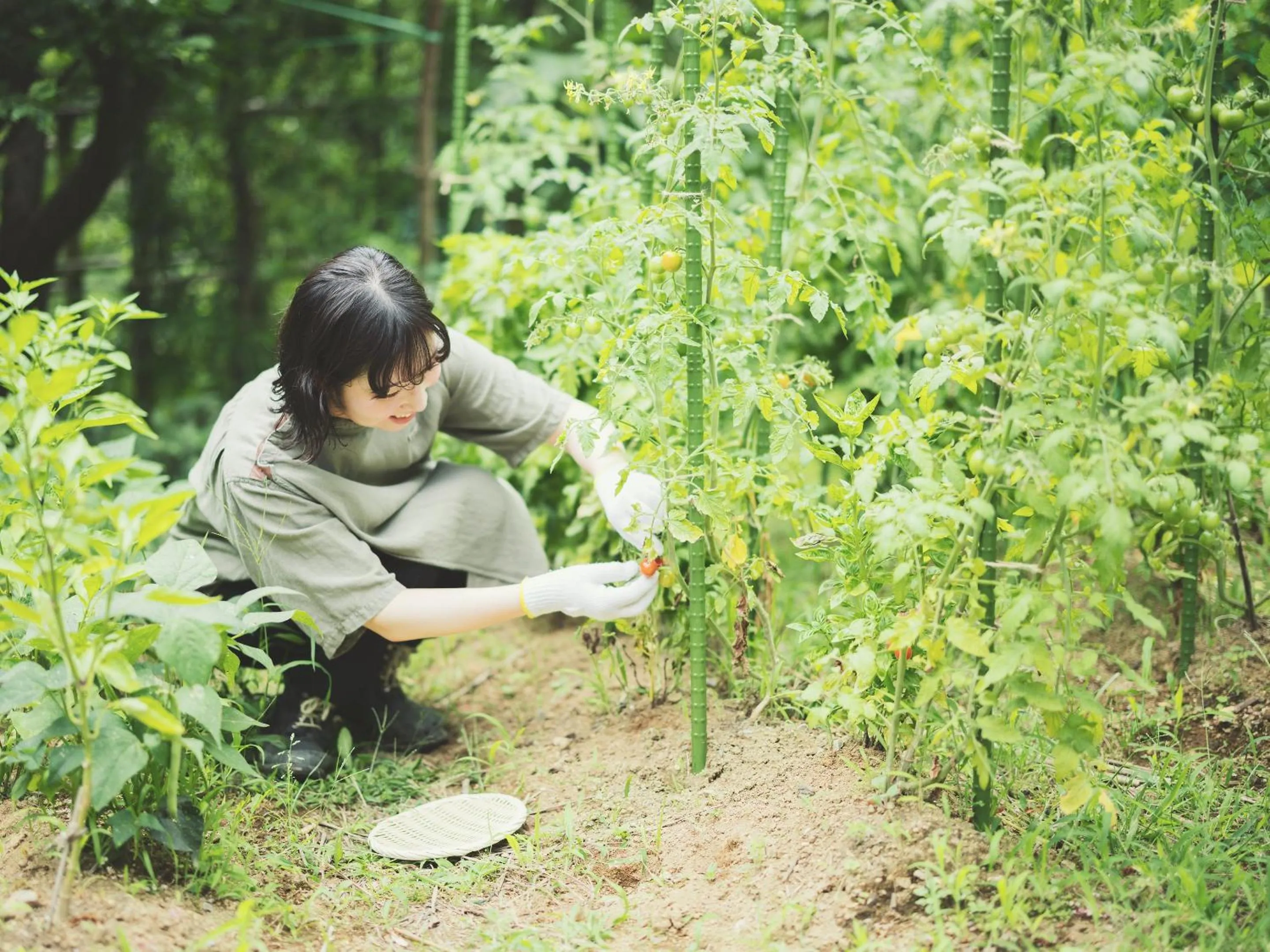 Garden in SOKI ATAMI