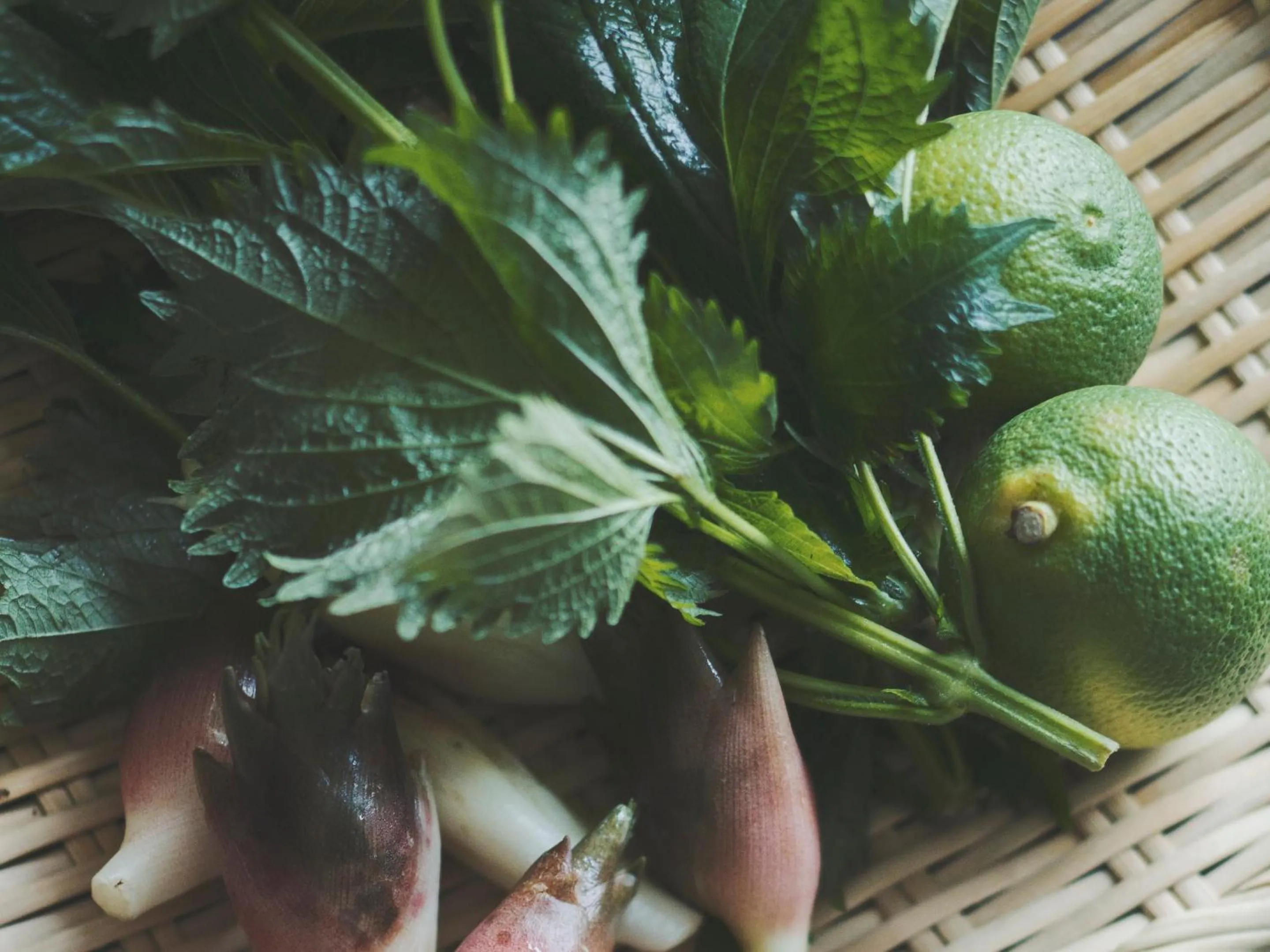 Food and drinks in SOKI ATAMI