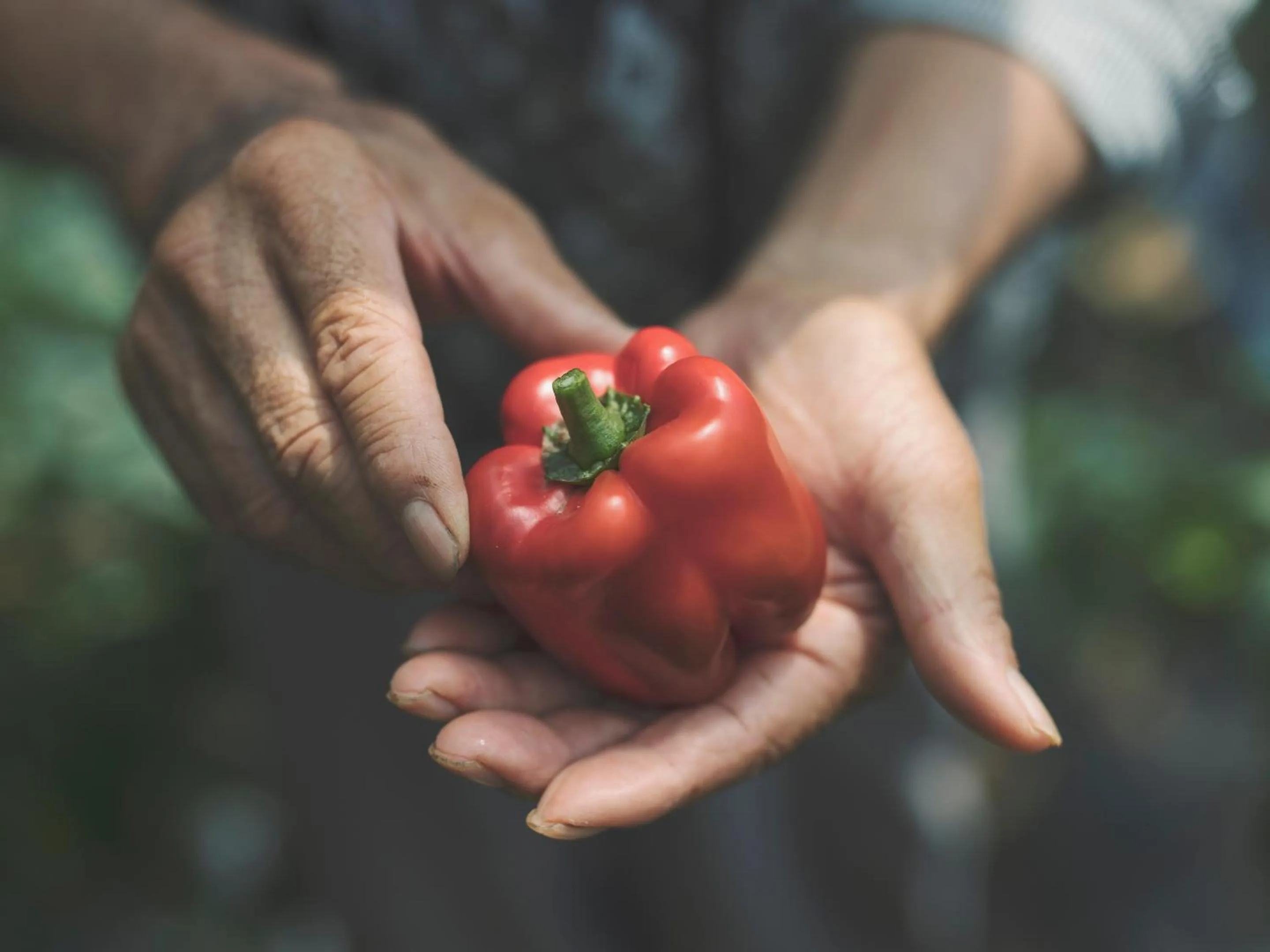 Food and drinks in SOKI ATAMI