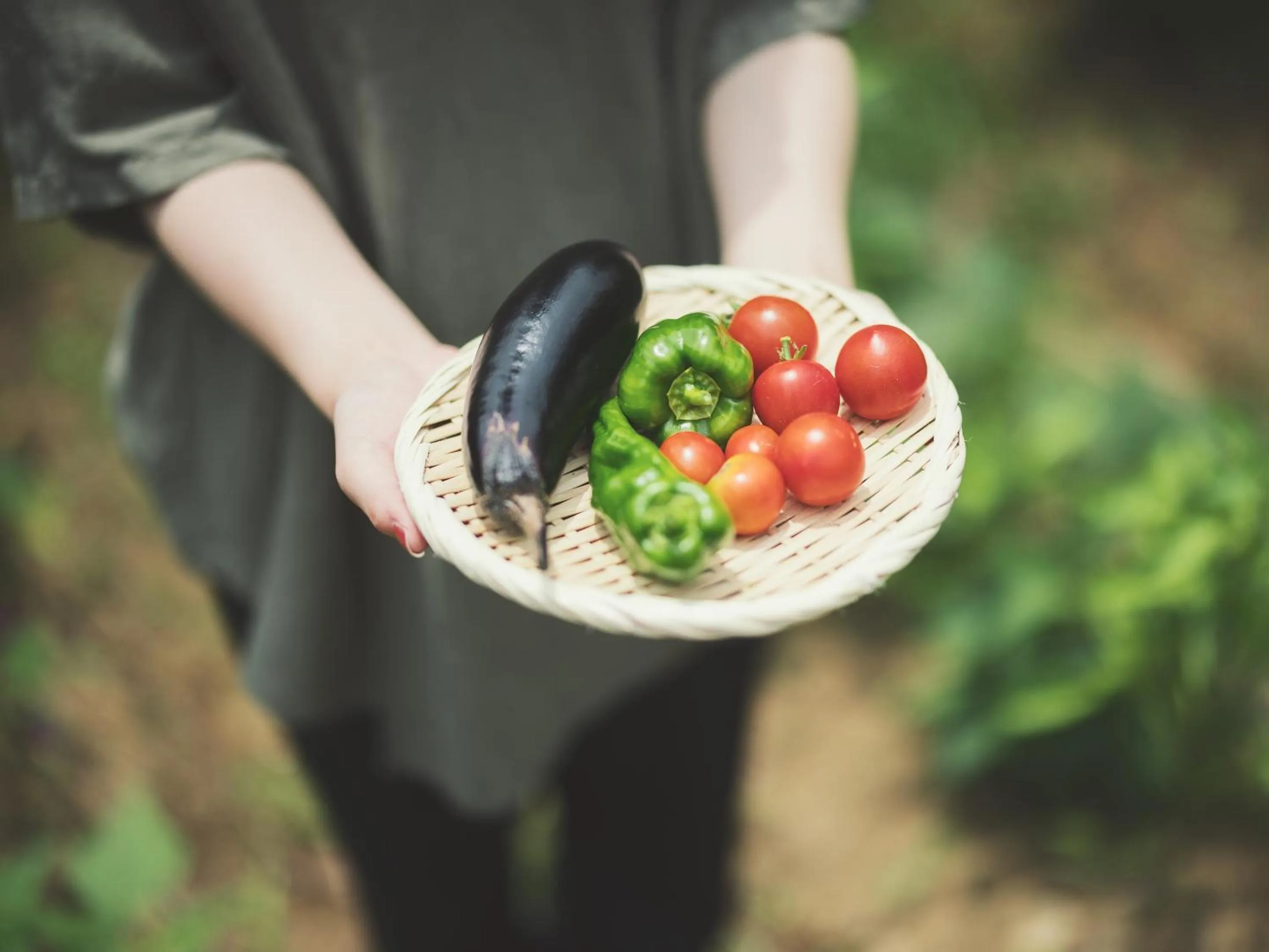 Food and drinks in SOKI ATAMI