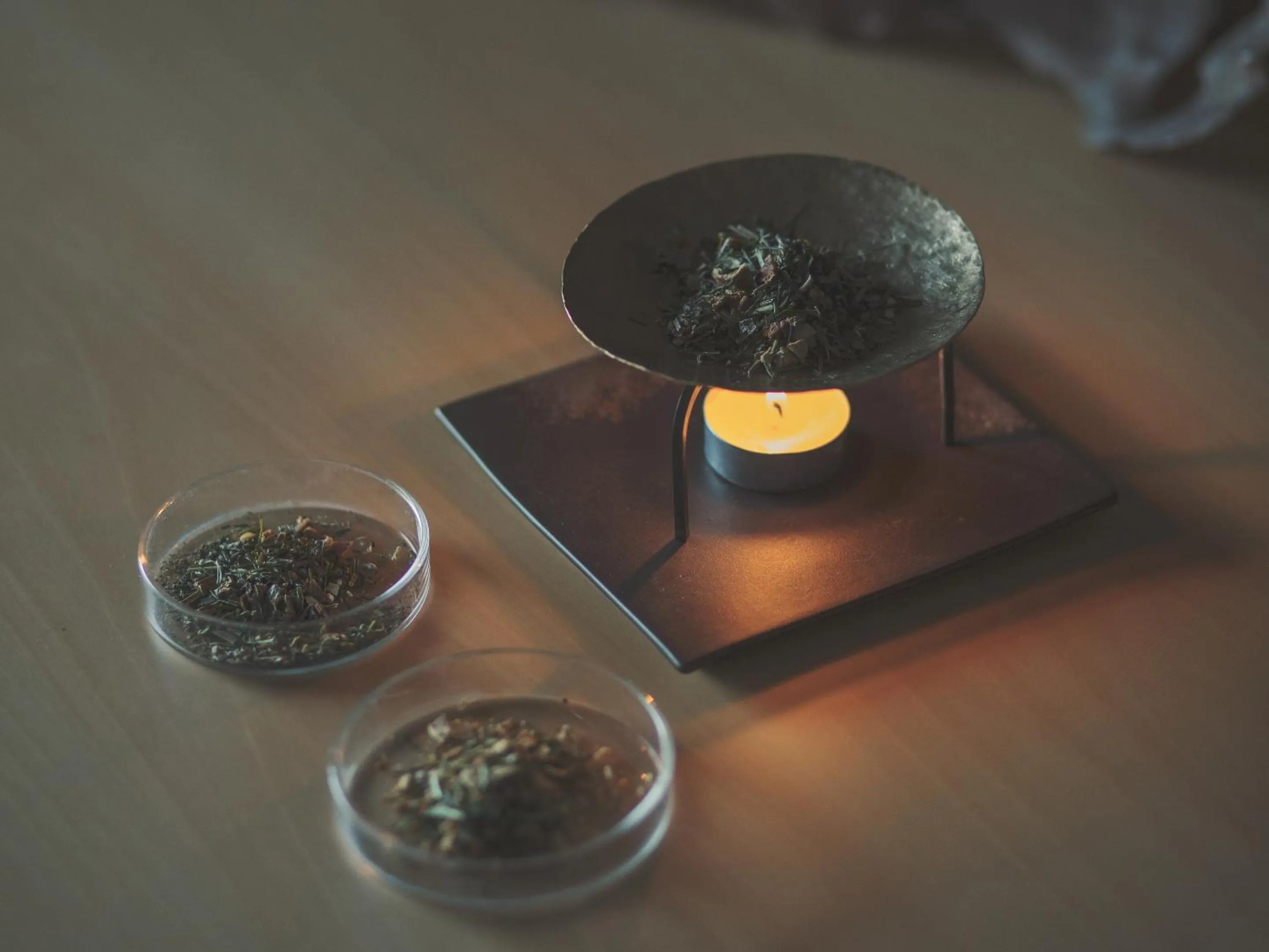 Lounge or bar in SOKI ATAMI