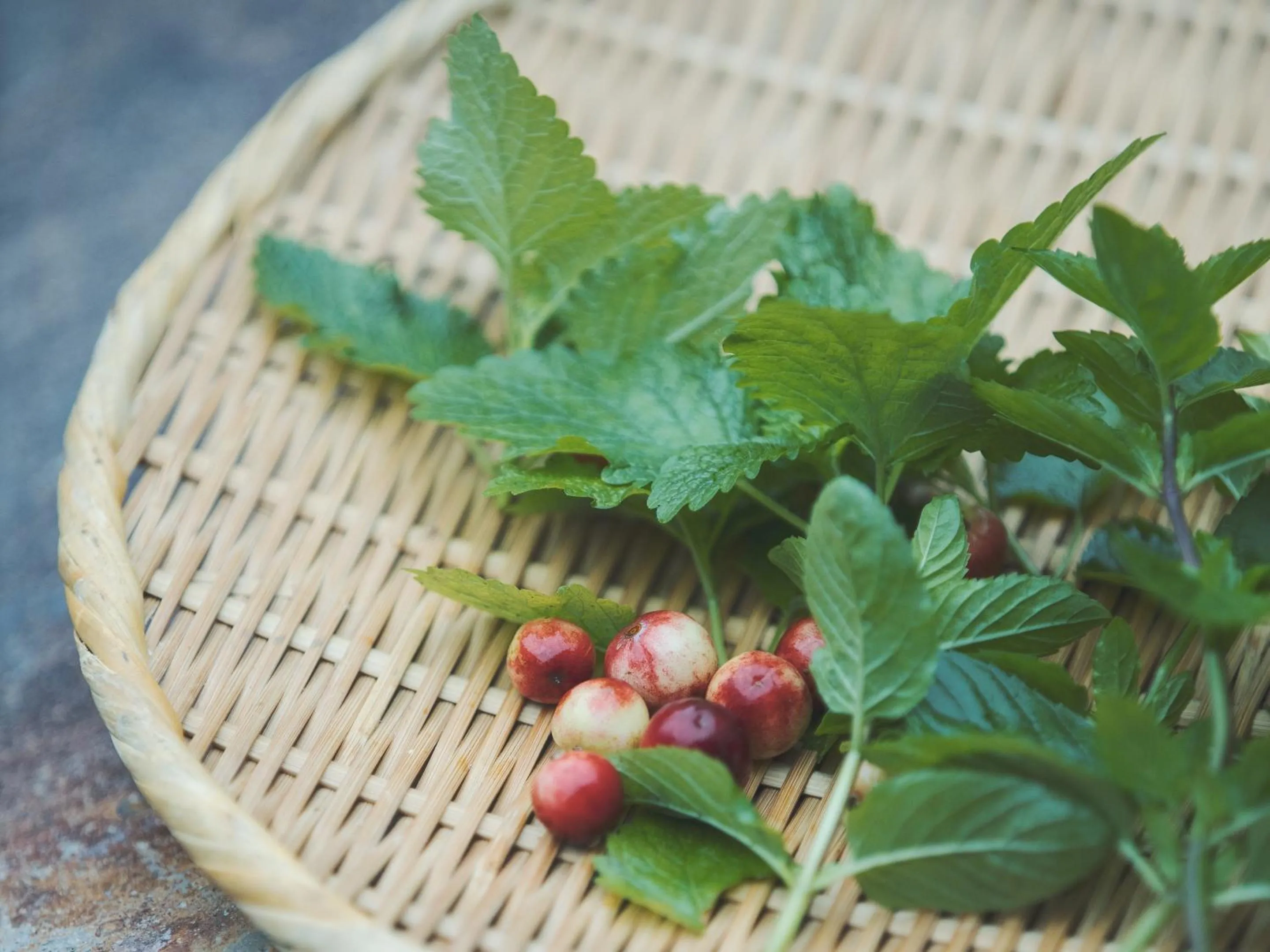 Food and drinks in SOKI ATAMI