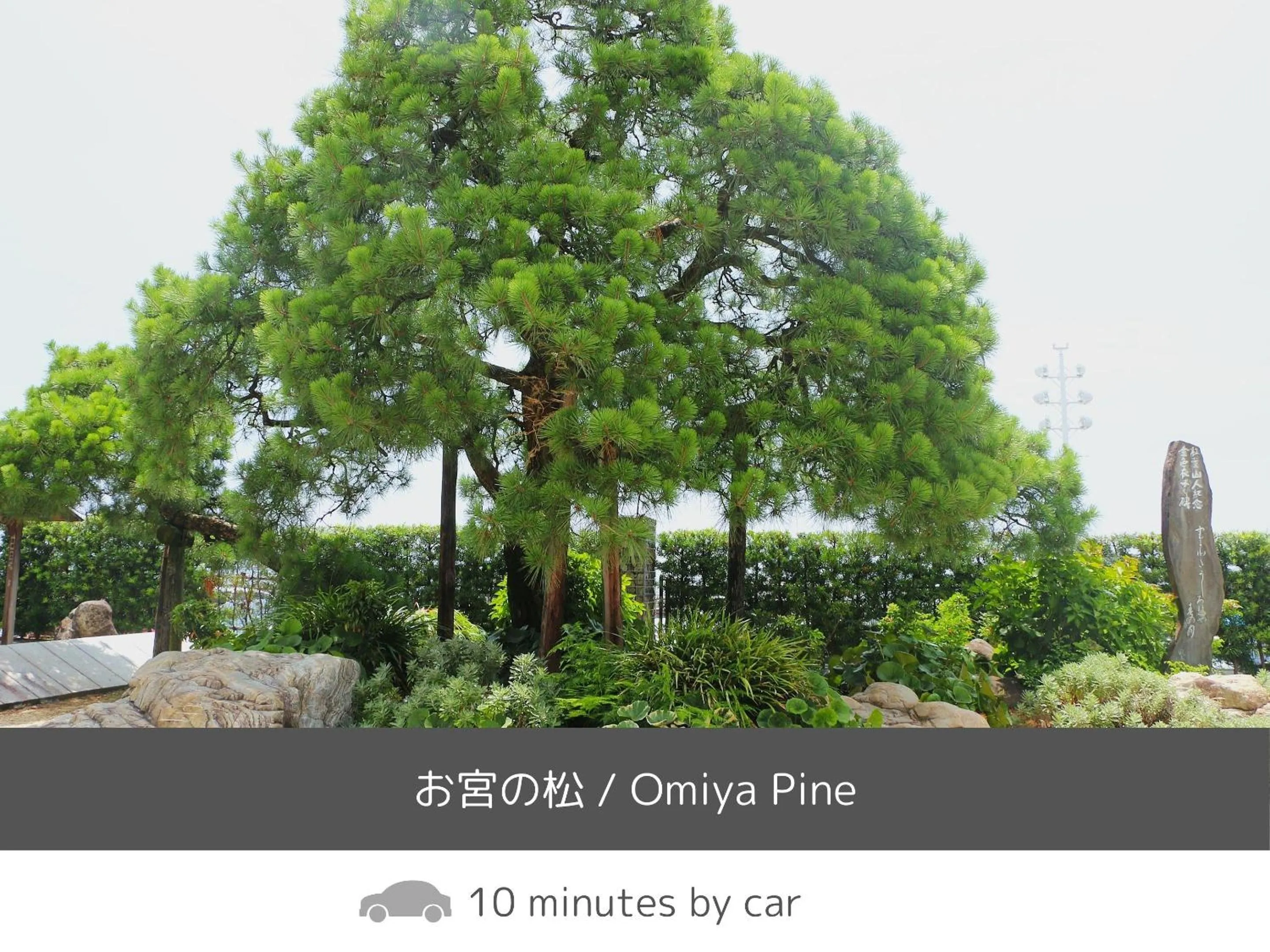 Nearby landmark in SOKI ATAMI