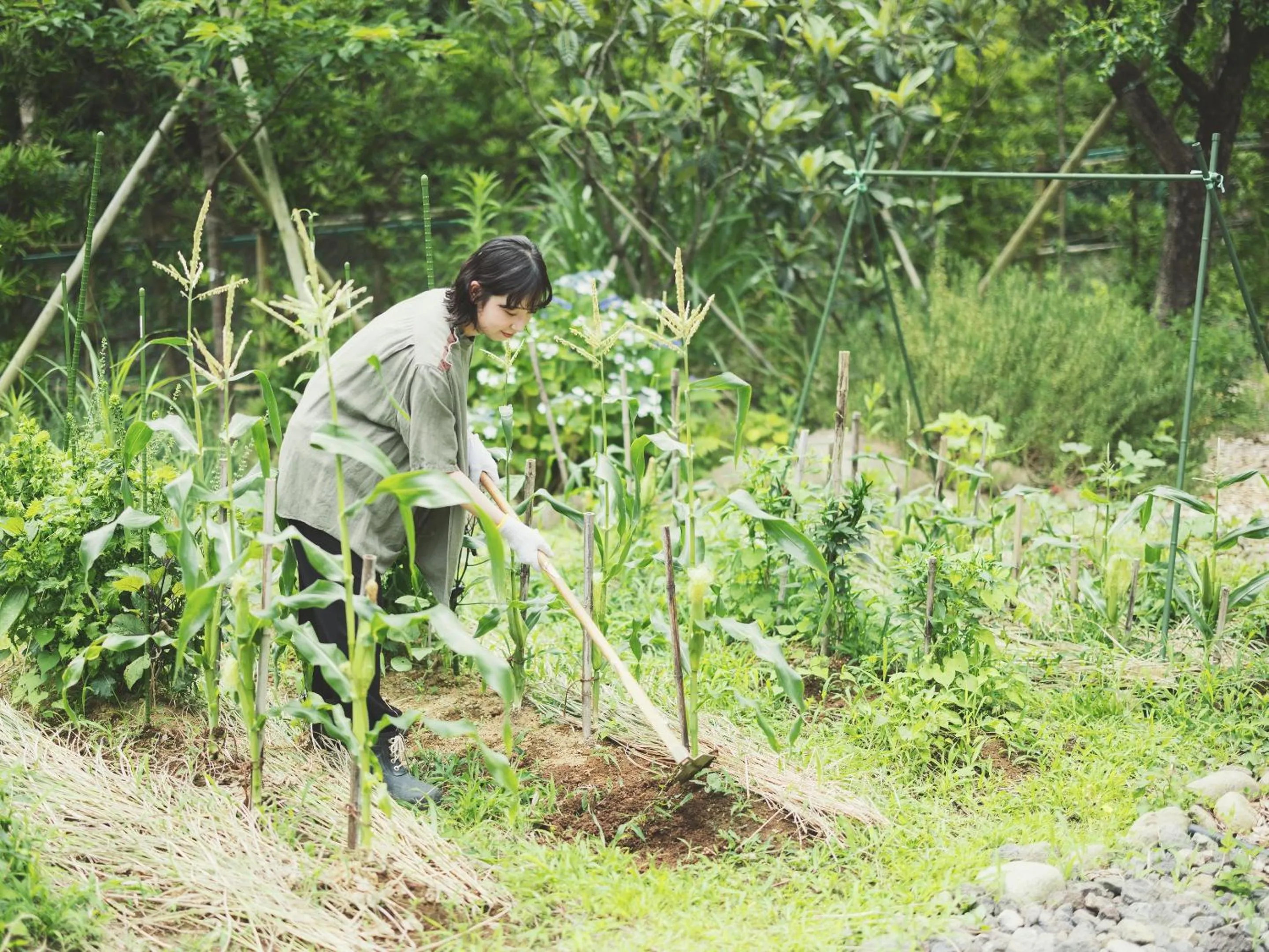 Garden in SOKI ATAMI