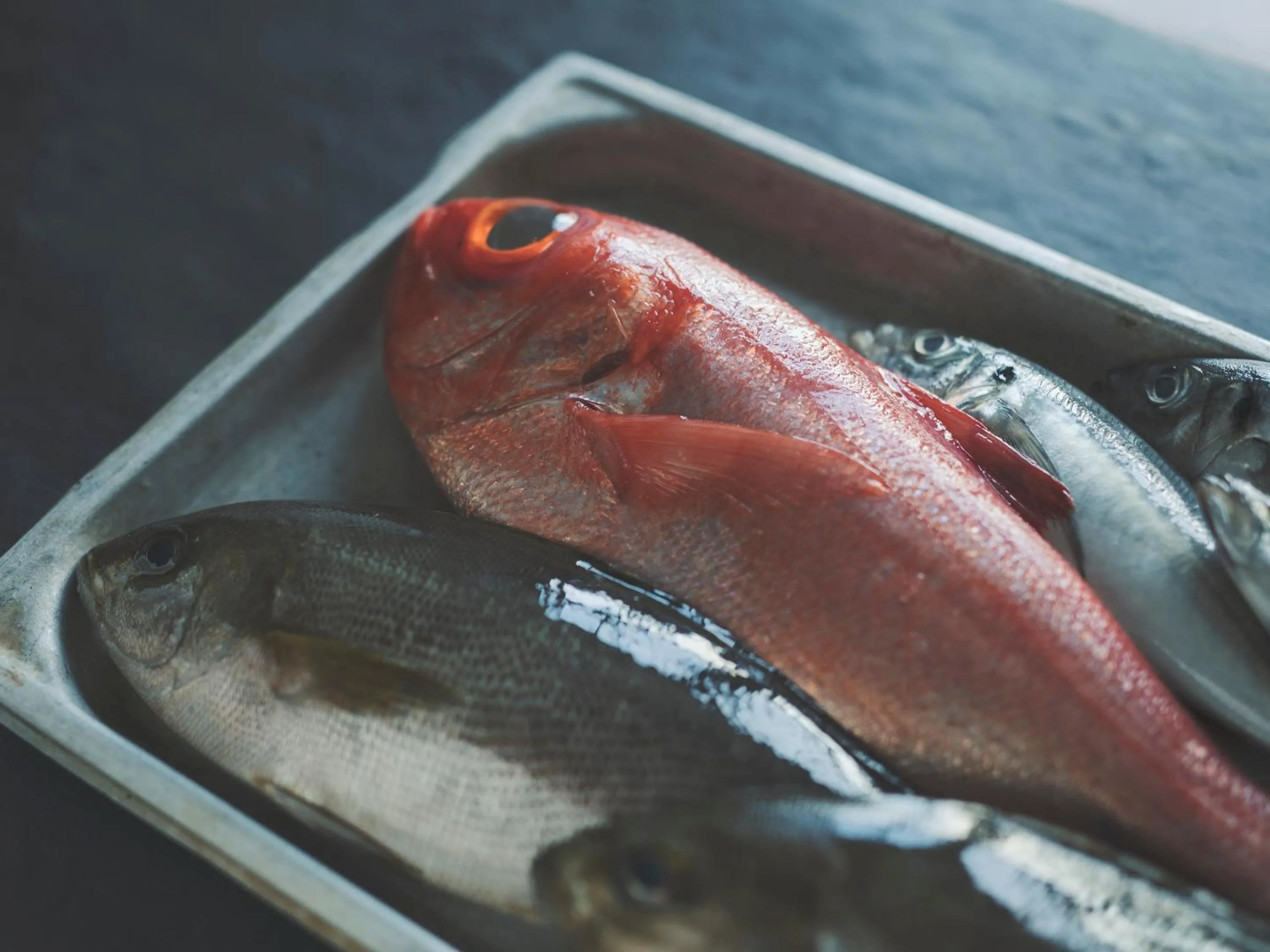 Food and drinks in SOKI ATAMI