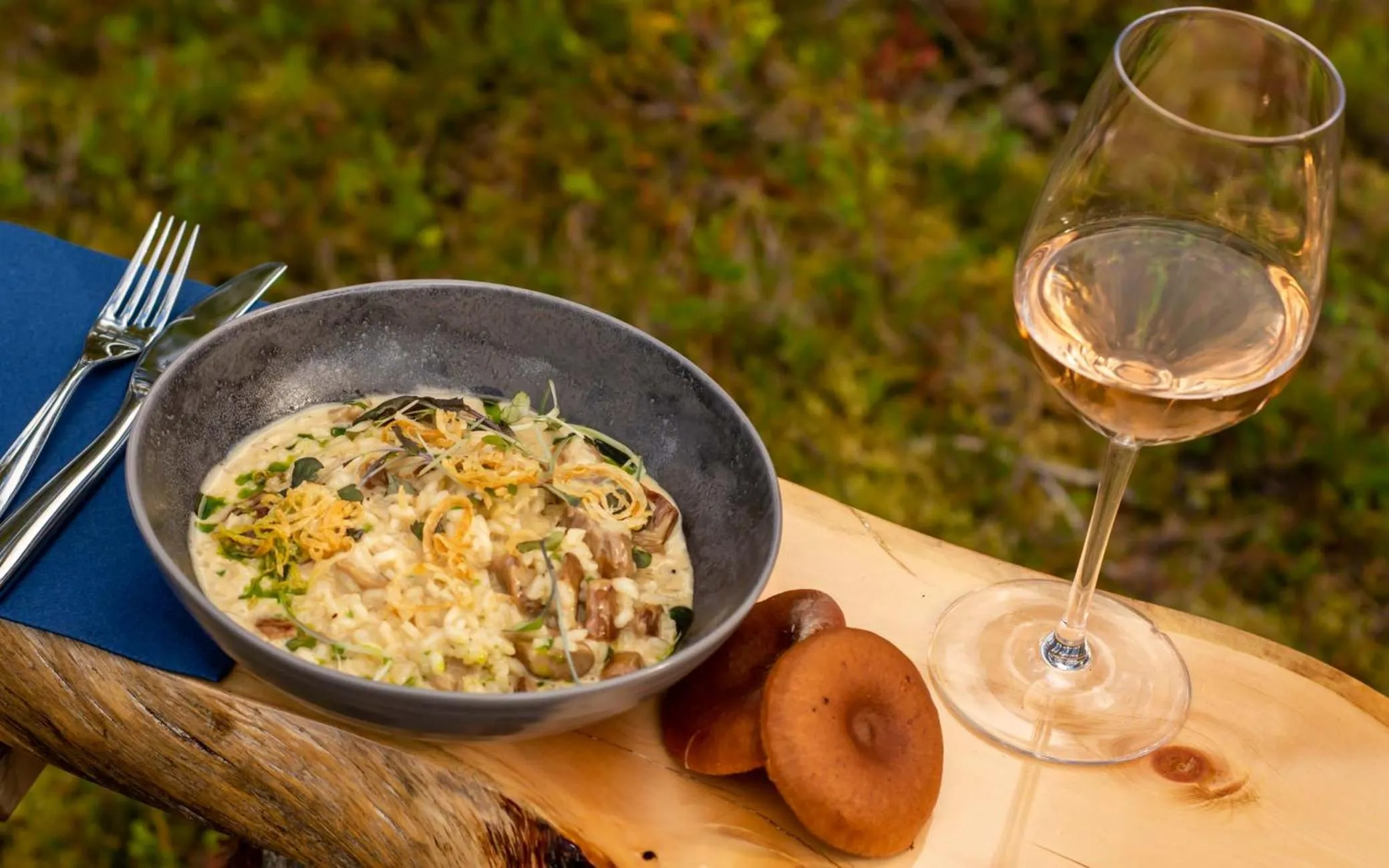 Restaurant/places to eat in Arctic Skylight Lodge