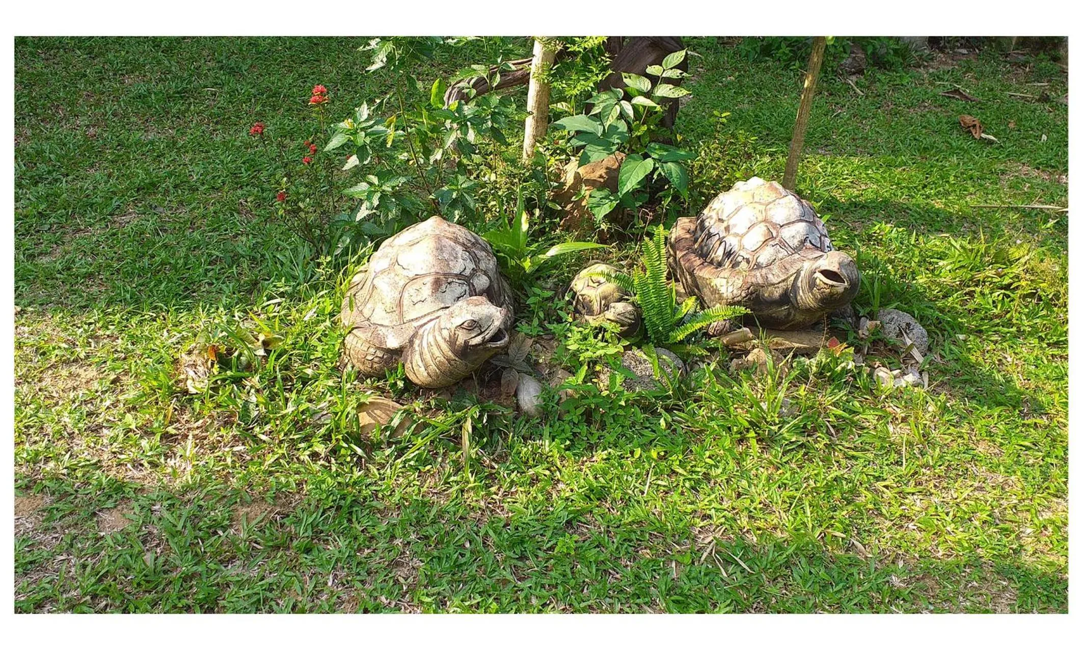 Garden in TAWAN RESORT