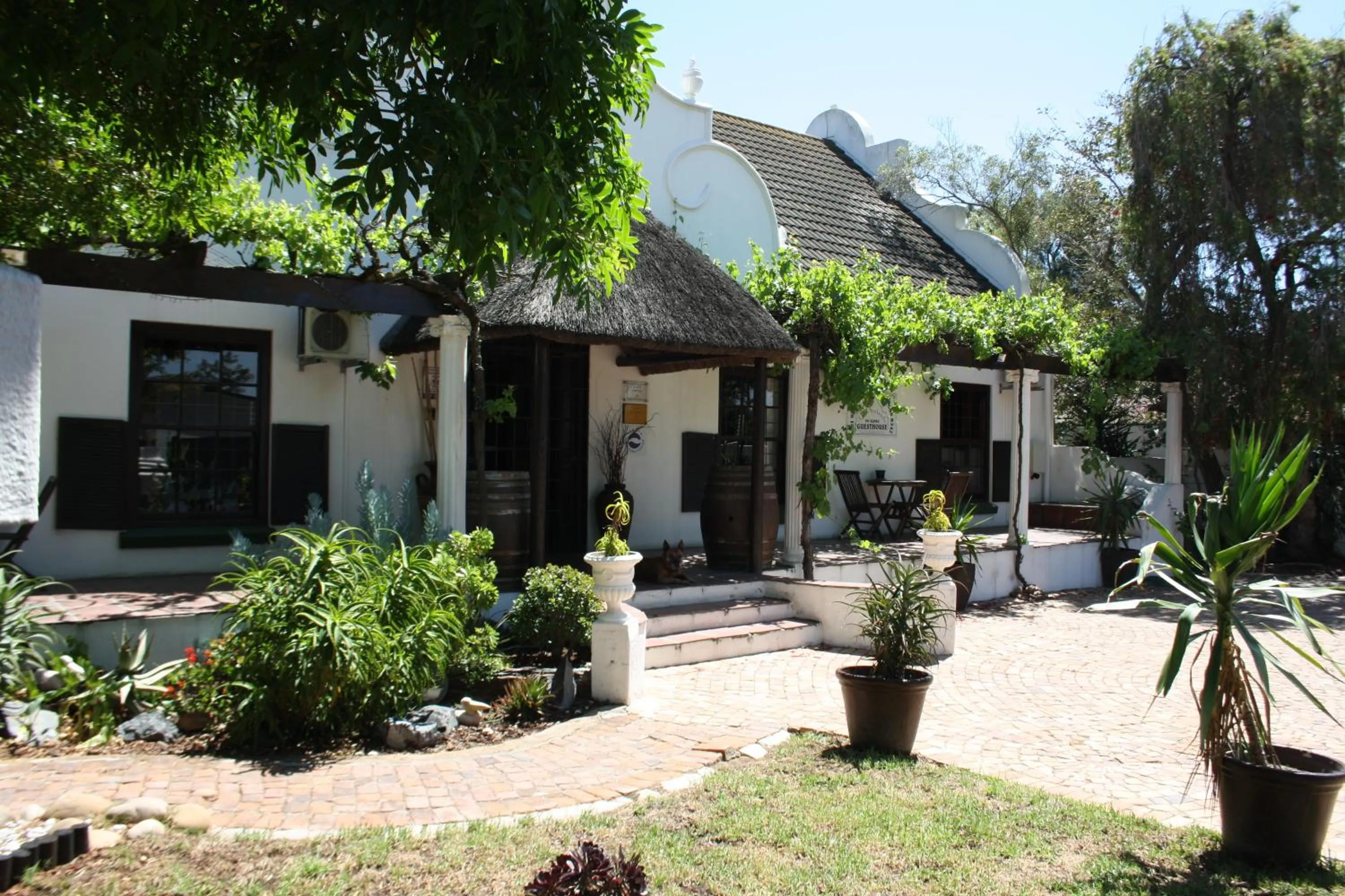 The Vinelands on Alpha Guest House