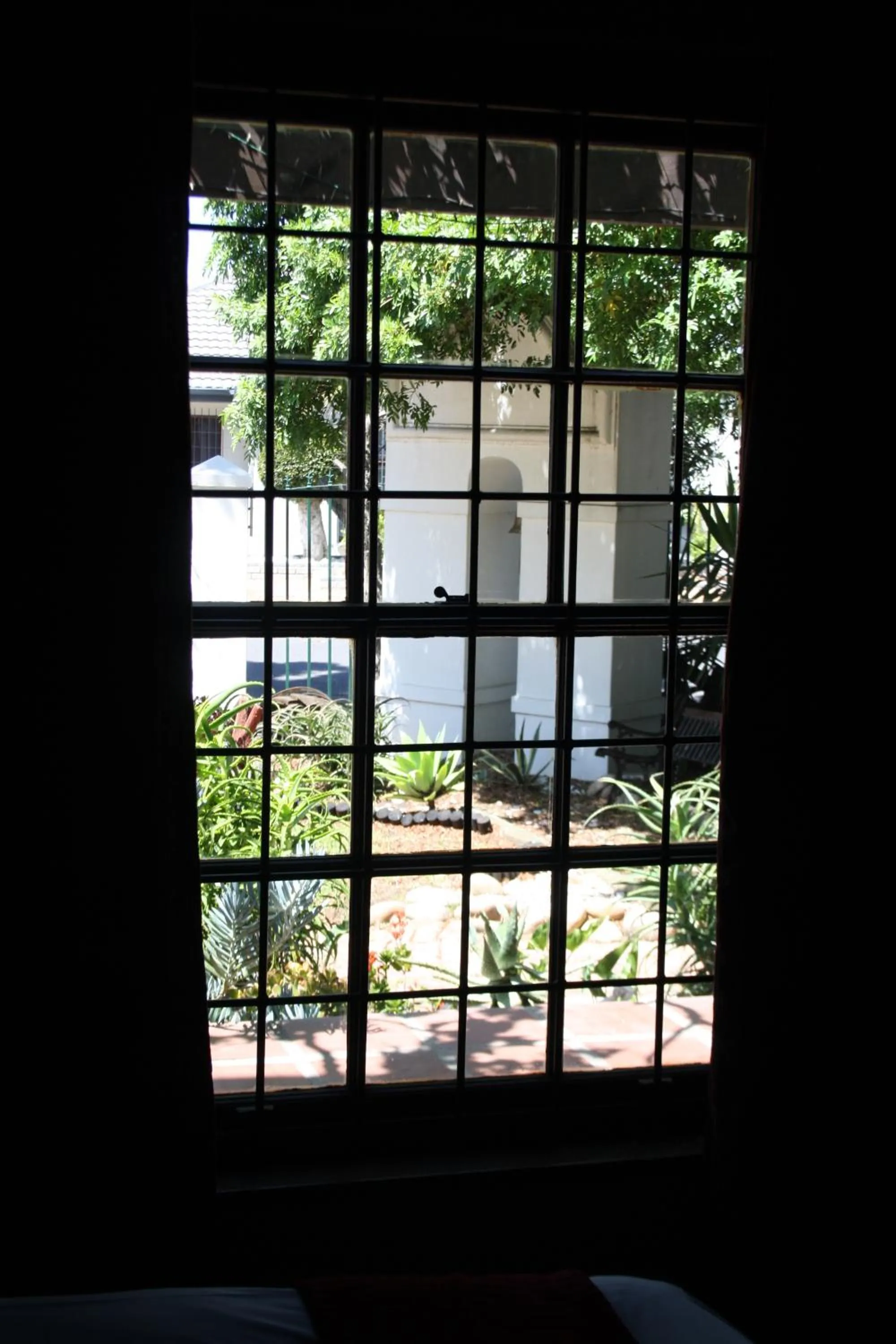 The Vinelands on Alpha Guest House