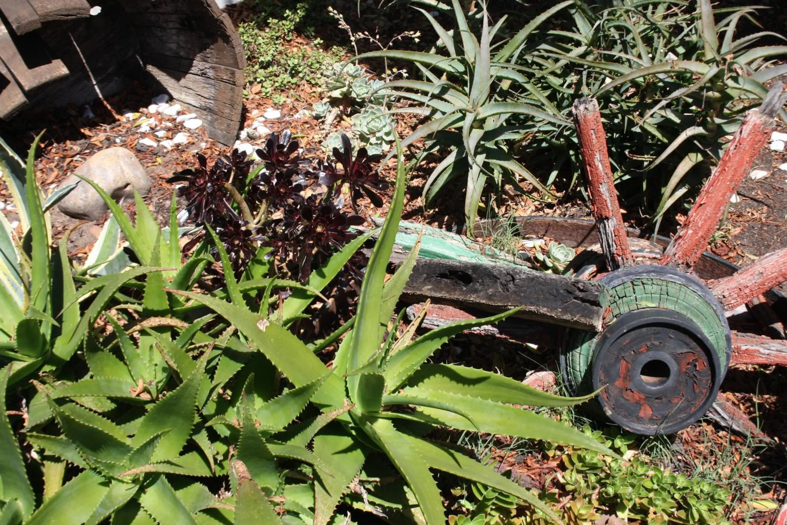 The Vinelands on Alpha Guest House